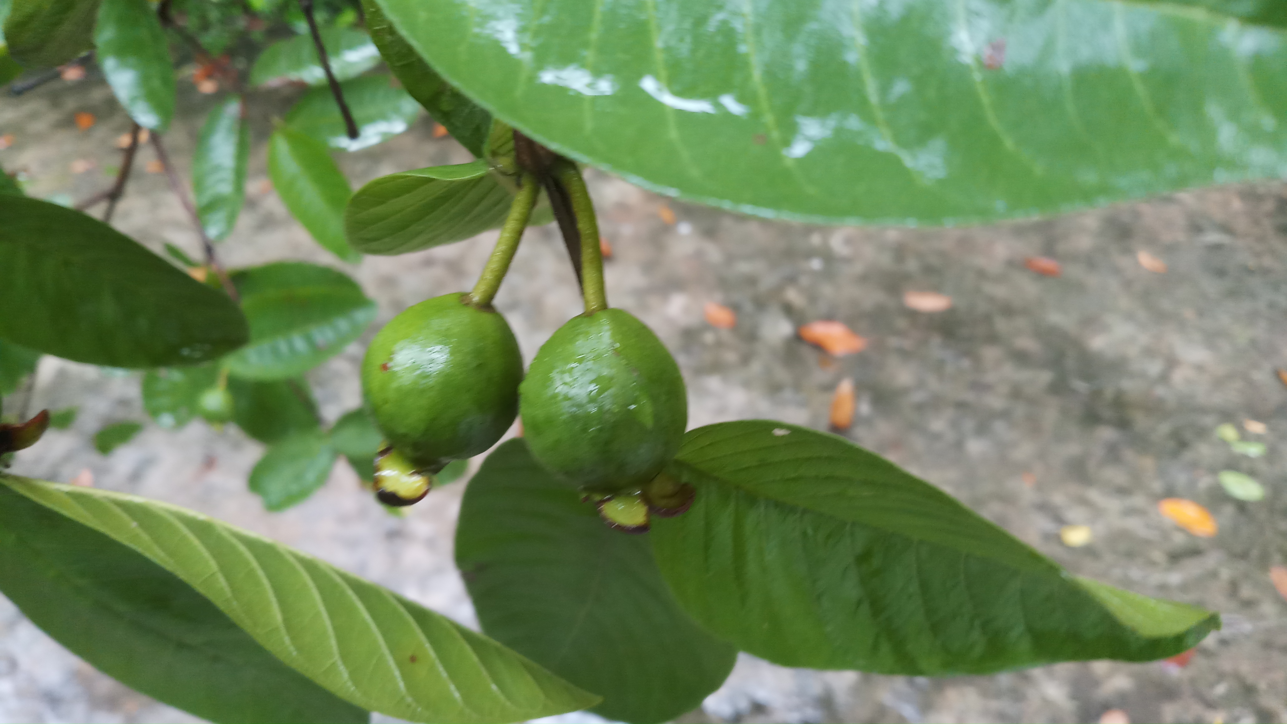 20190611_132614.jpg