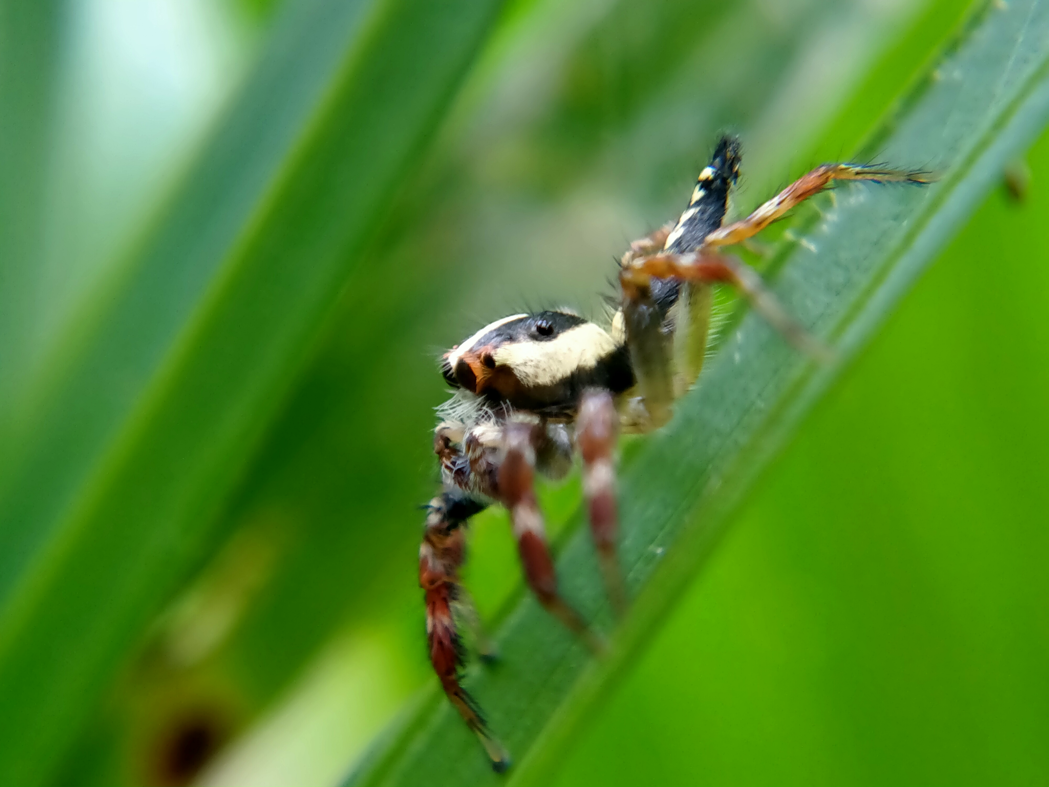 IMG20220124162147.jpg