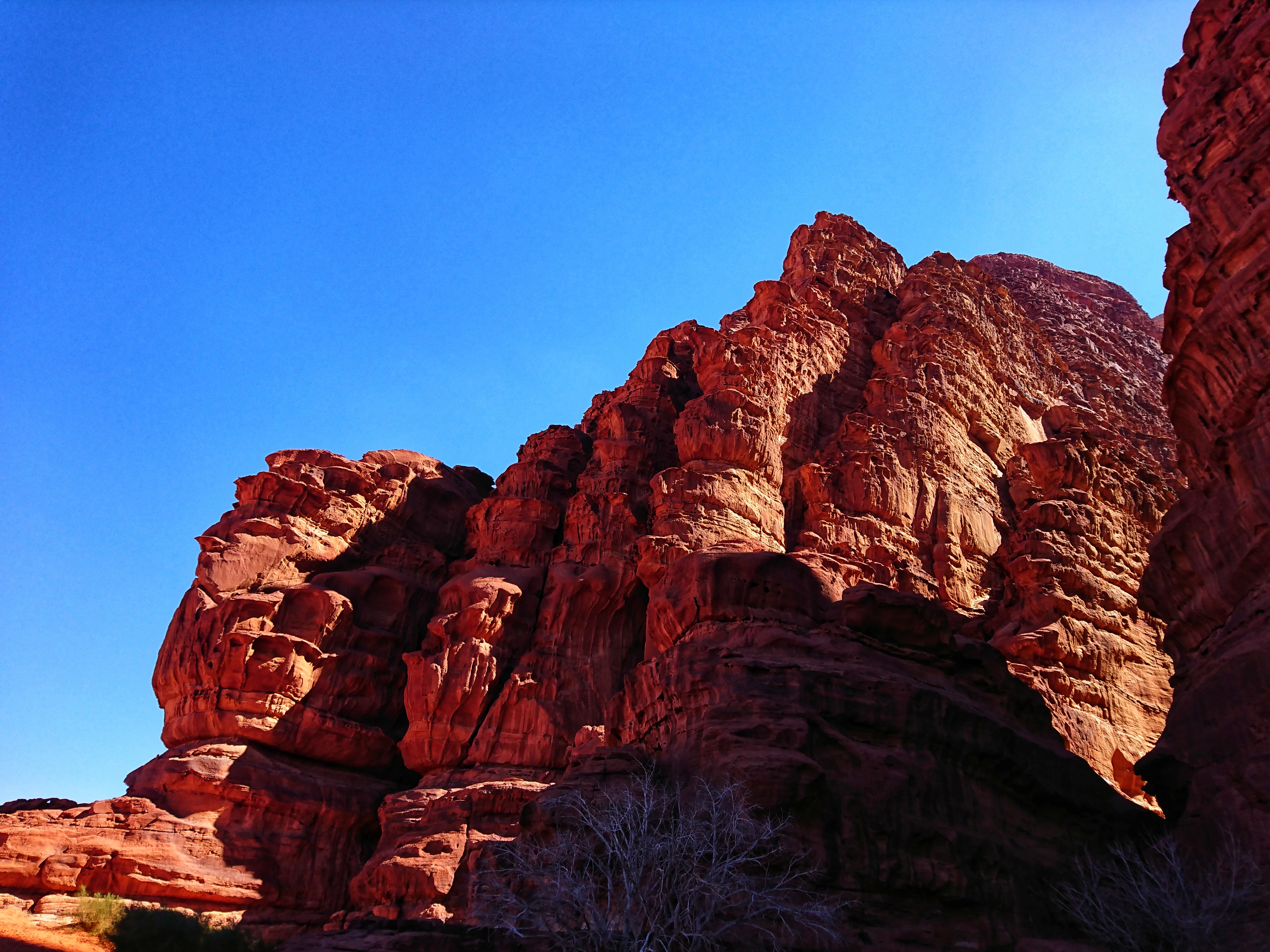 DSC_0577-02.jpeg
