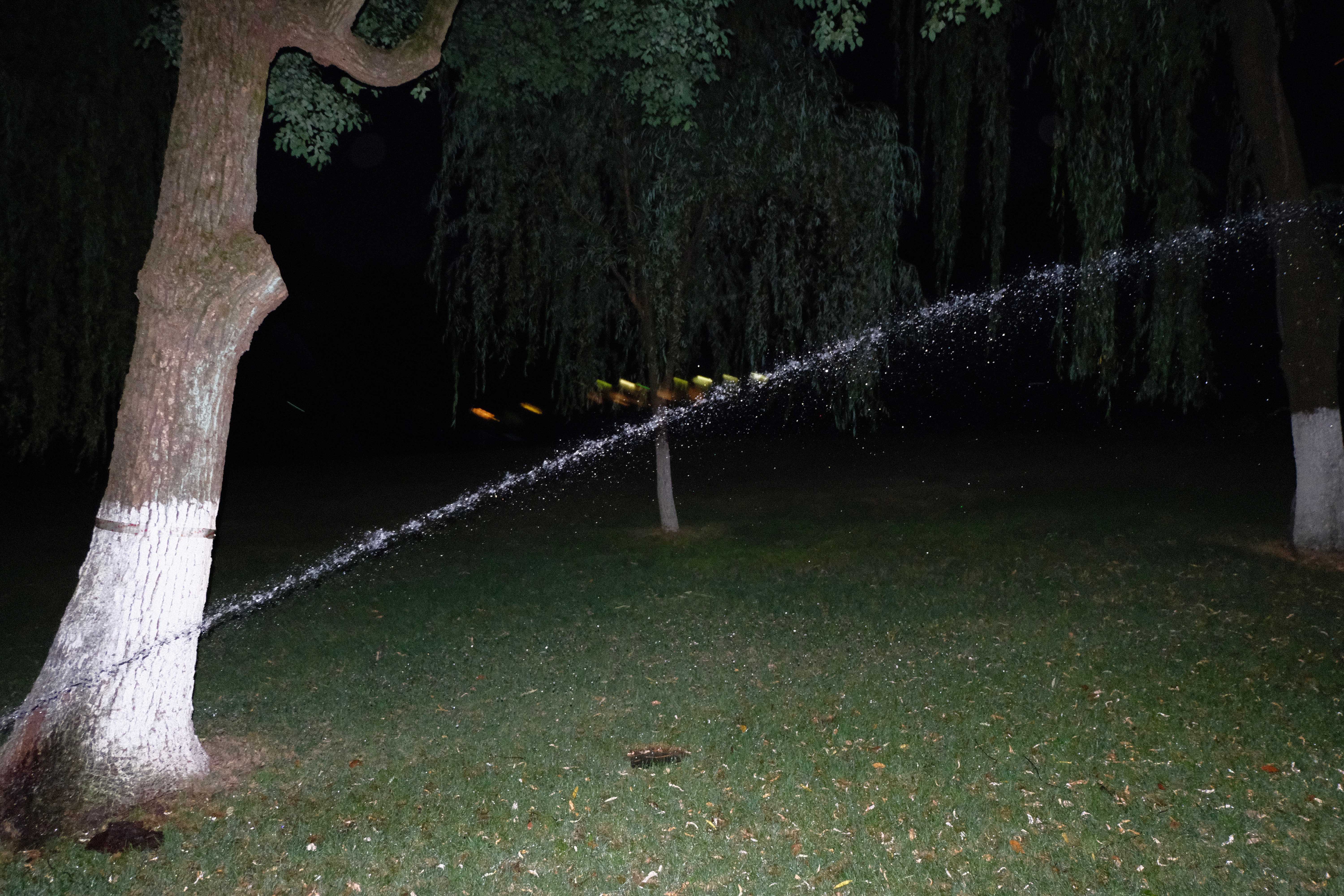 DSCF9618.jpg
