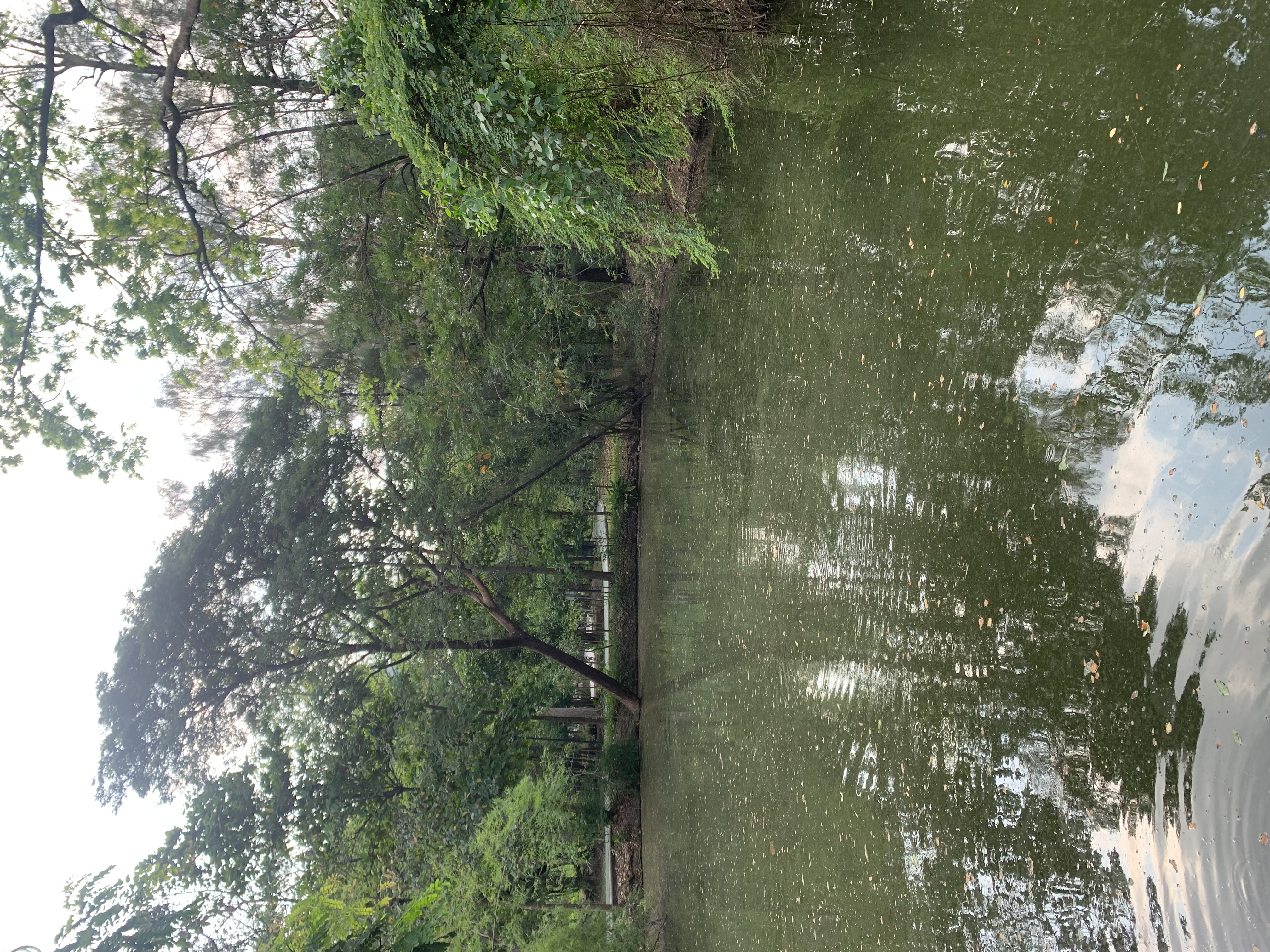Suan Rot Fai2.jpg