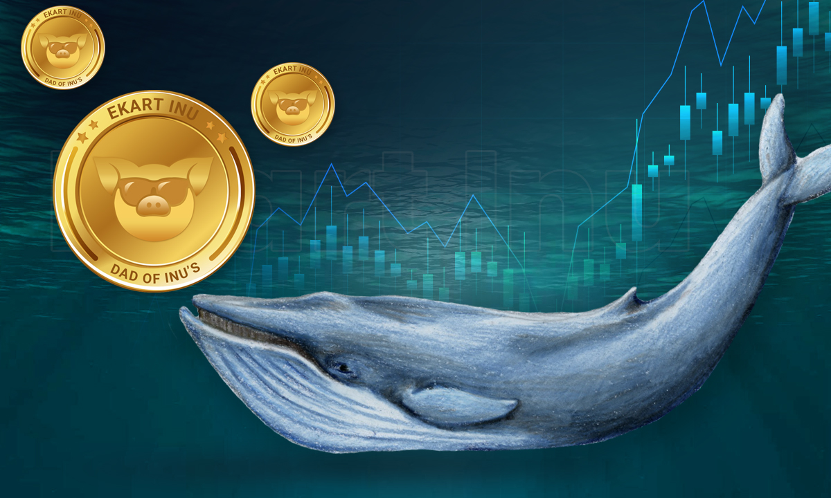 Crypto whale кто это. Крипто кит. Кит биткойн. Киты инвестиций. Киты криптовалют.