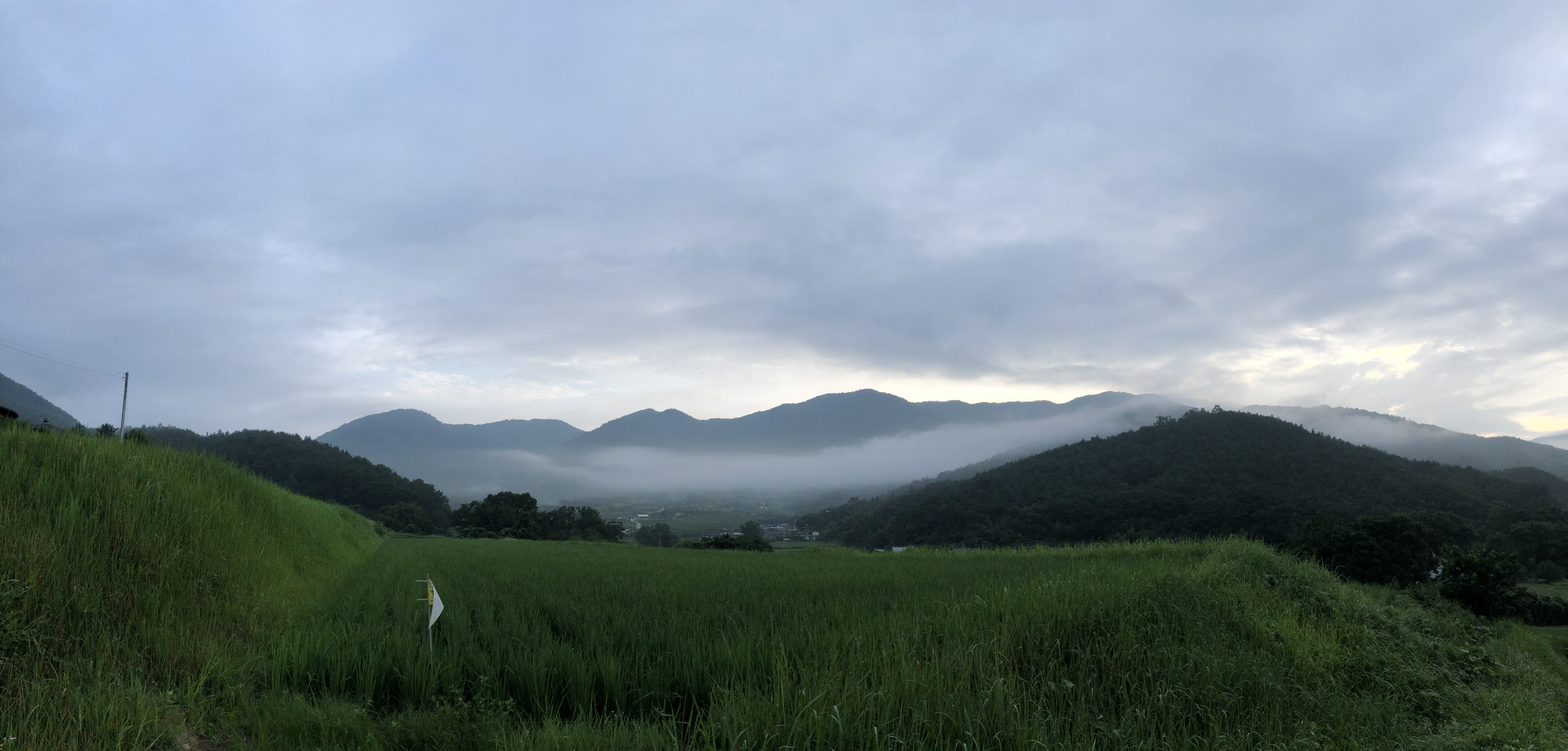 E9925ED4-27E8-477C-A1B5-4FF718A5FF40.jpeg