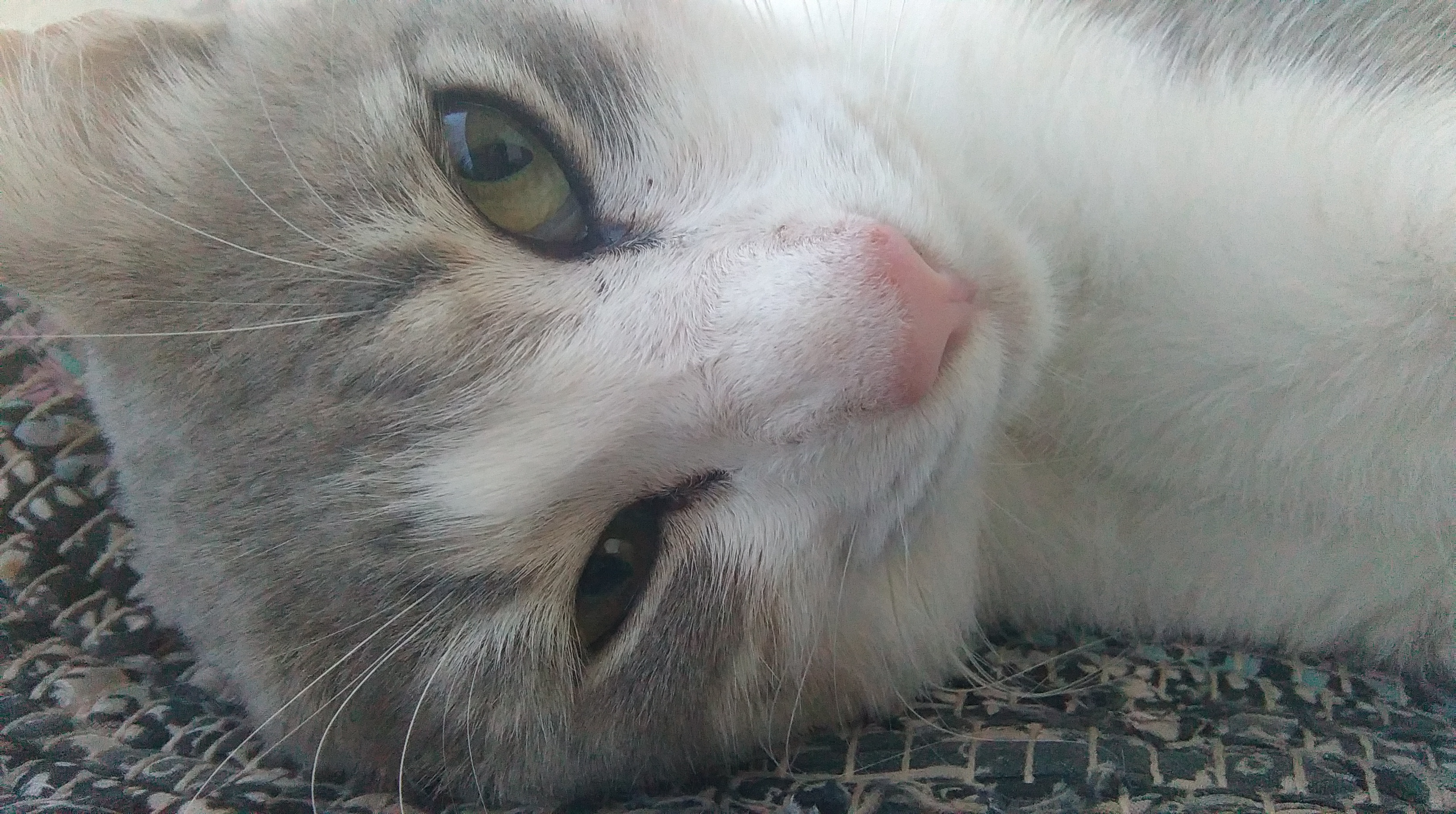 IMAG0187.jpg