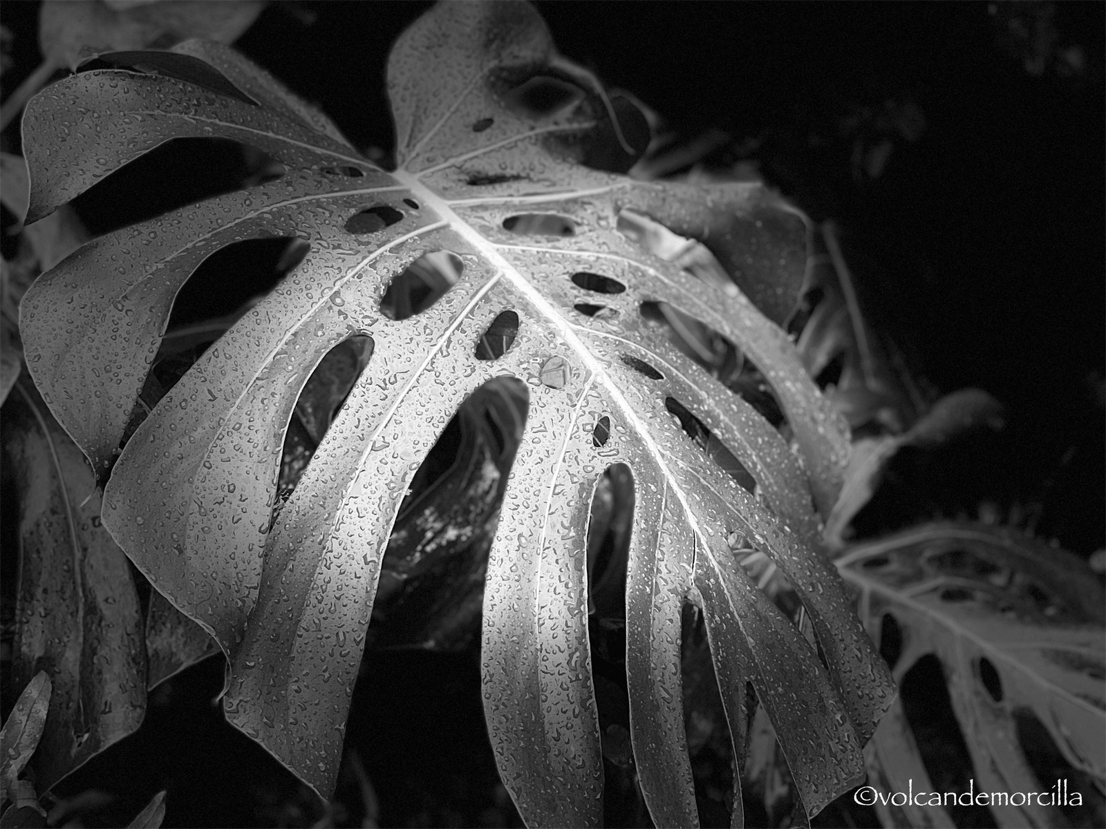 0FA41021-2FF5-43F2-B15D-295182A04976.jpeg