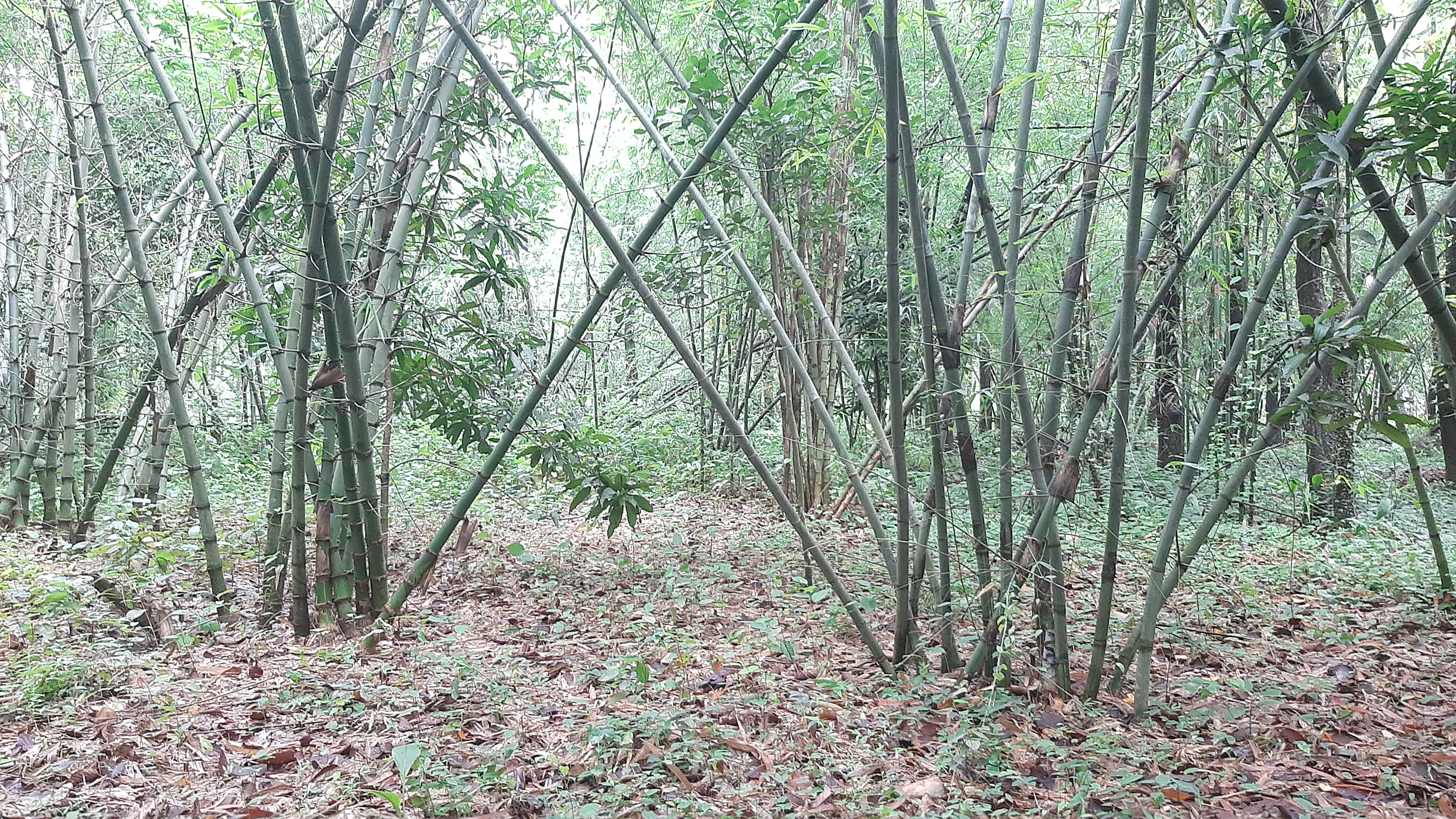 20240705_155044.jpg