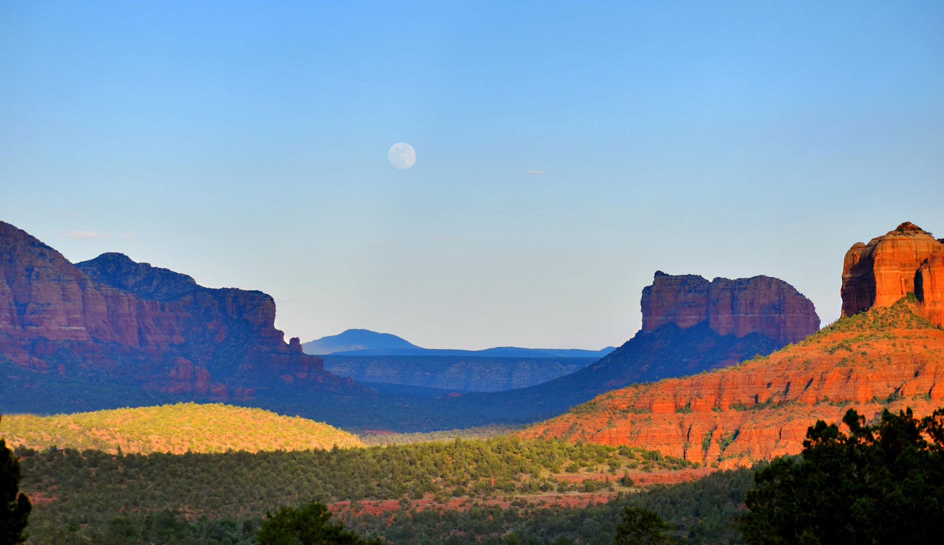 full moon crop 8x14.jpg