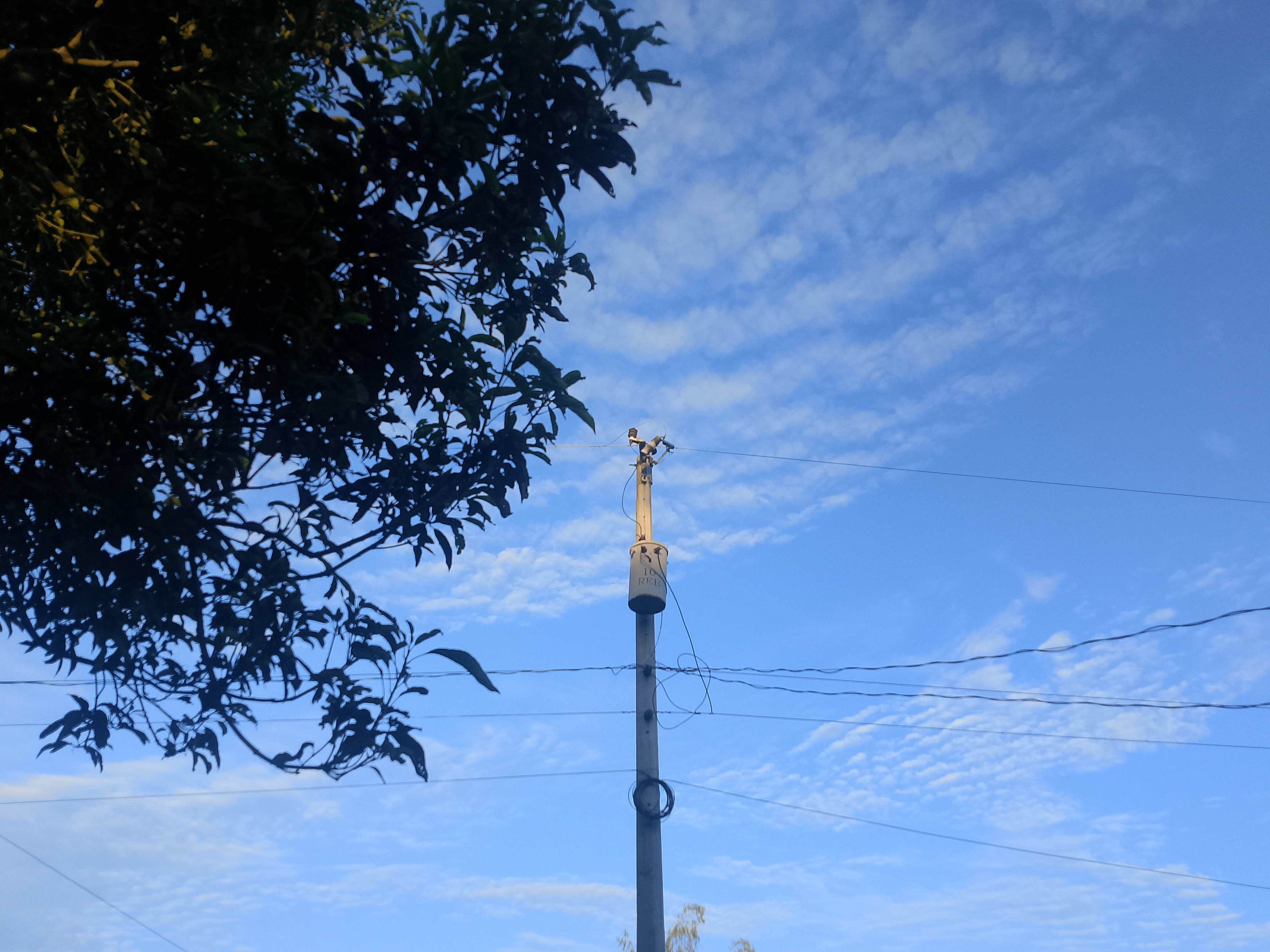 1000074957.jpg