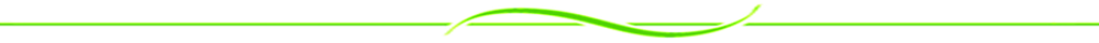 linia5.png
