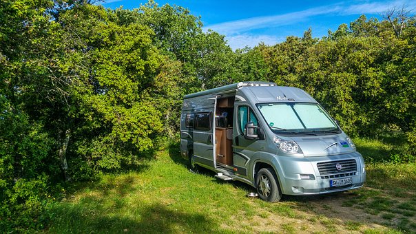van is forest.jpg