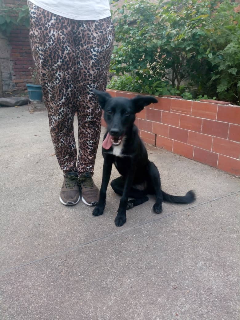 IMG-20210224-WA0048 (1).jpg