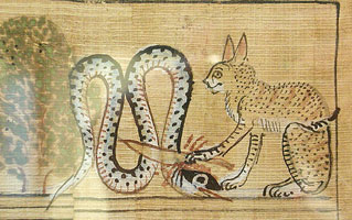 apep3.jpg