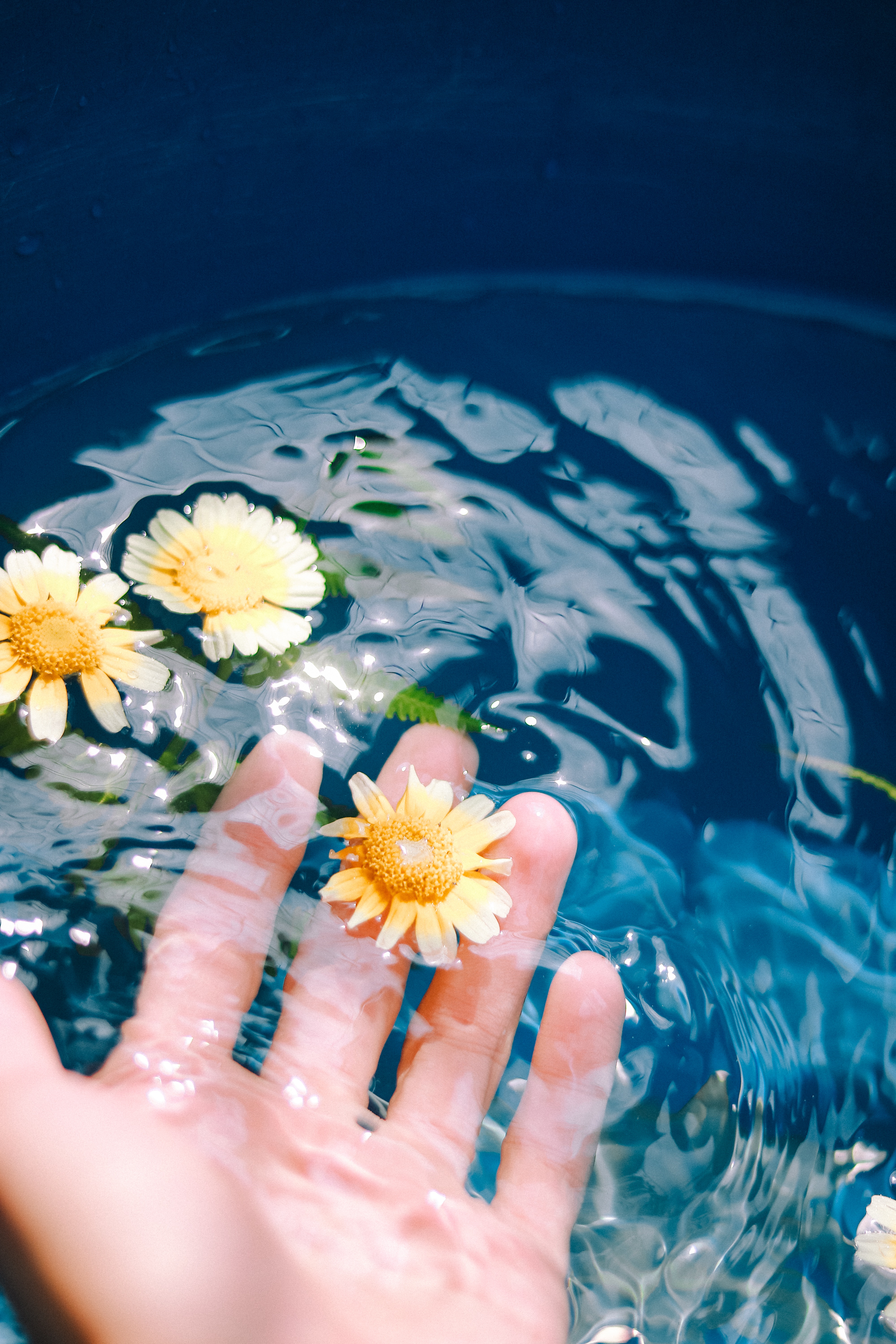 pexels-spring-toan-3854479.jpg