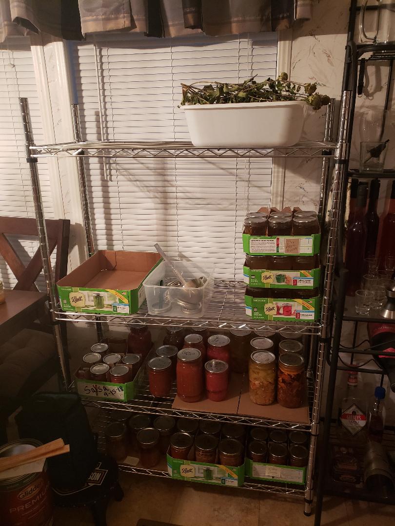 shelf.jpg
