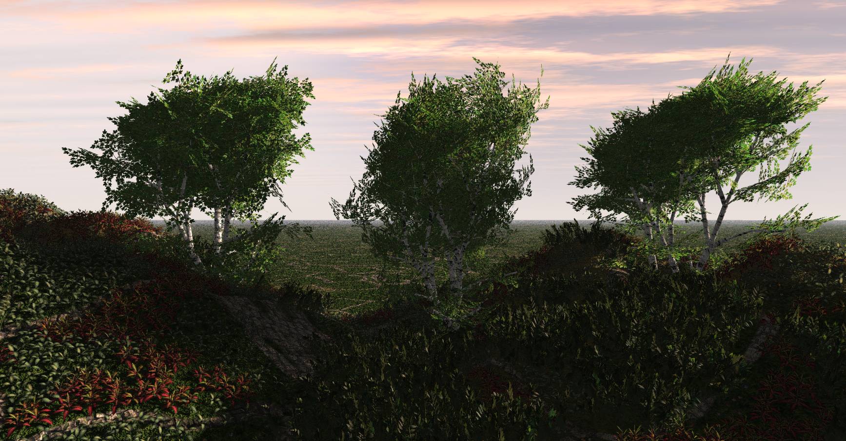 garden1.jpg