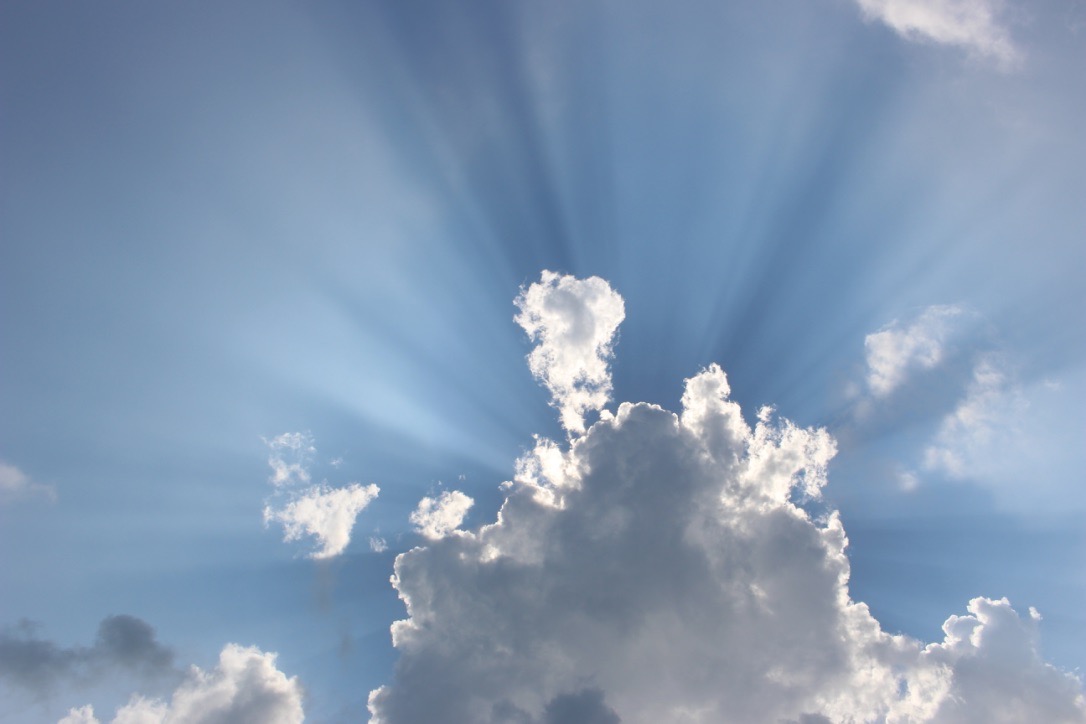 IMAGE 2019-06-23 10:40:14.jpg