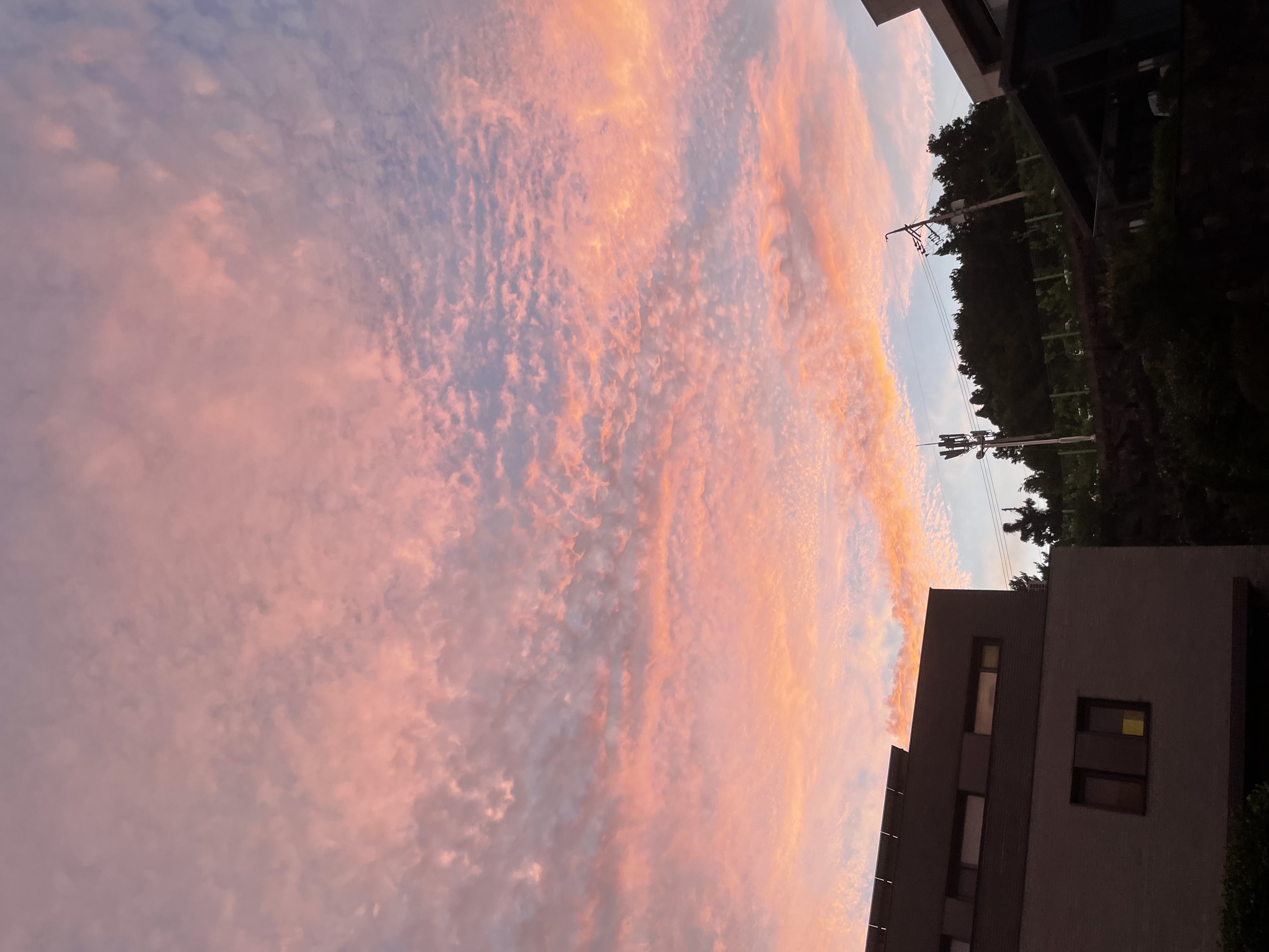 KakaoTalk_20260807_214415339_20.jpg