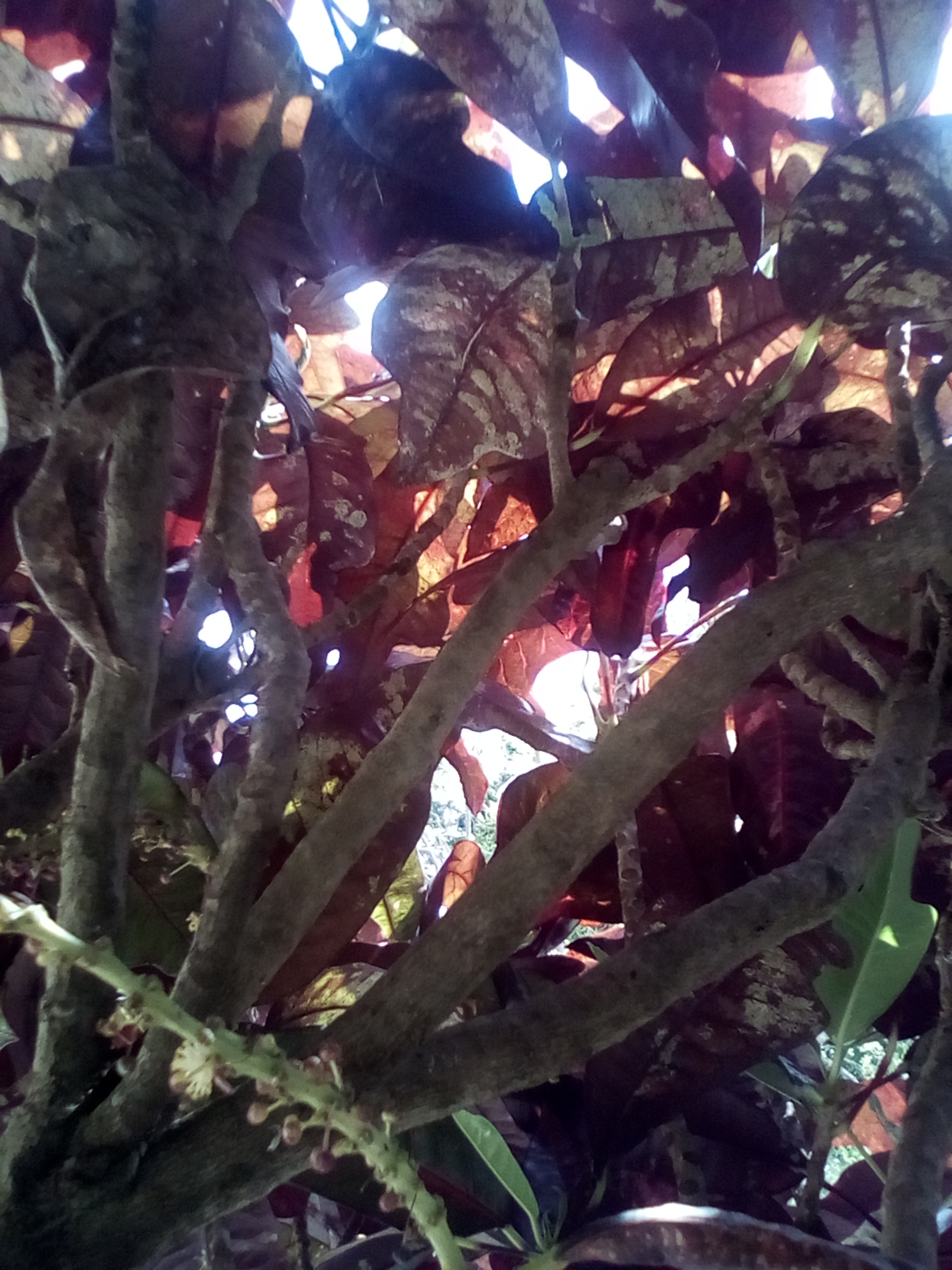 IMG_20210407_103519.jpg