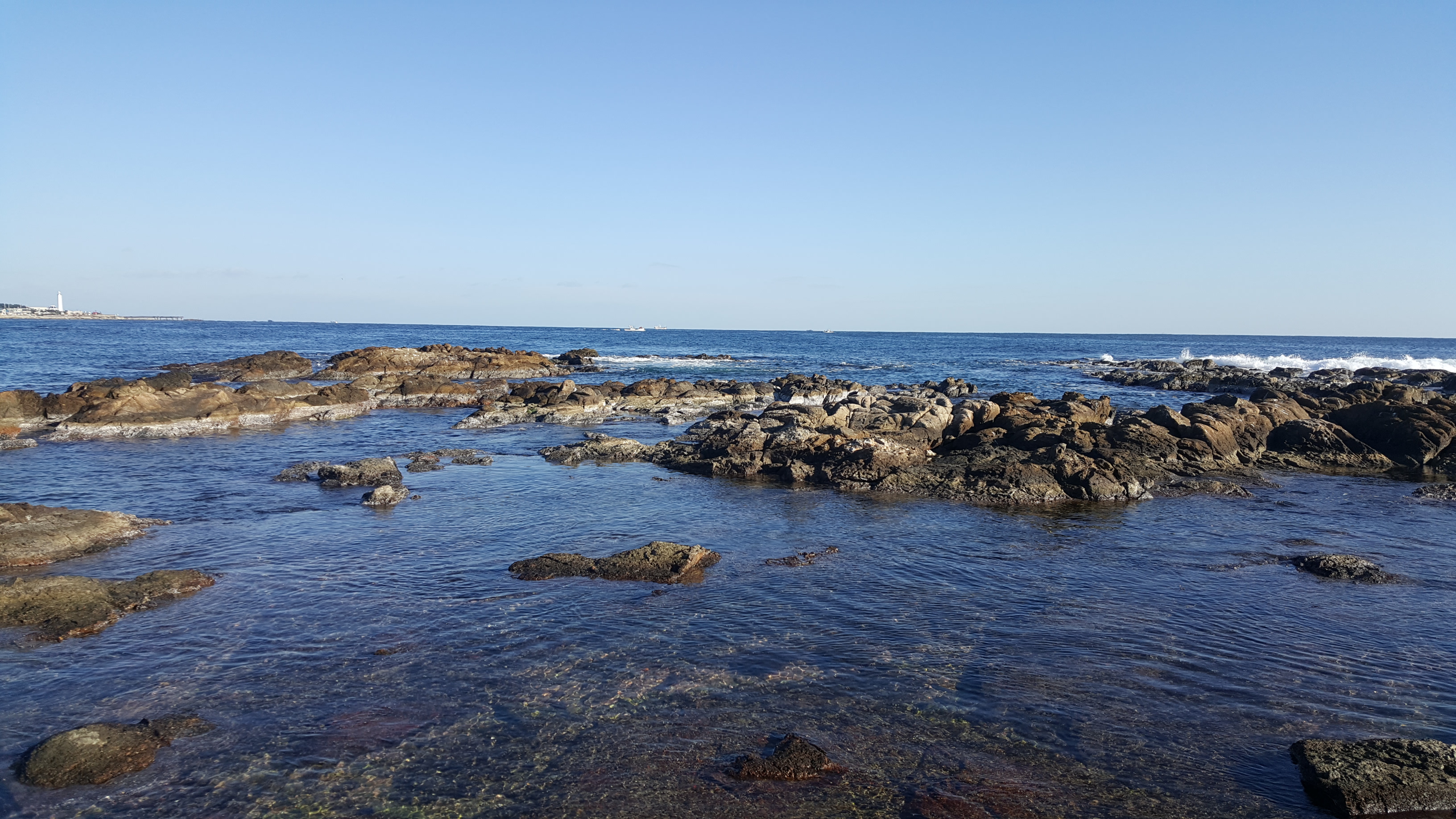 20181028_084545.jpg