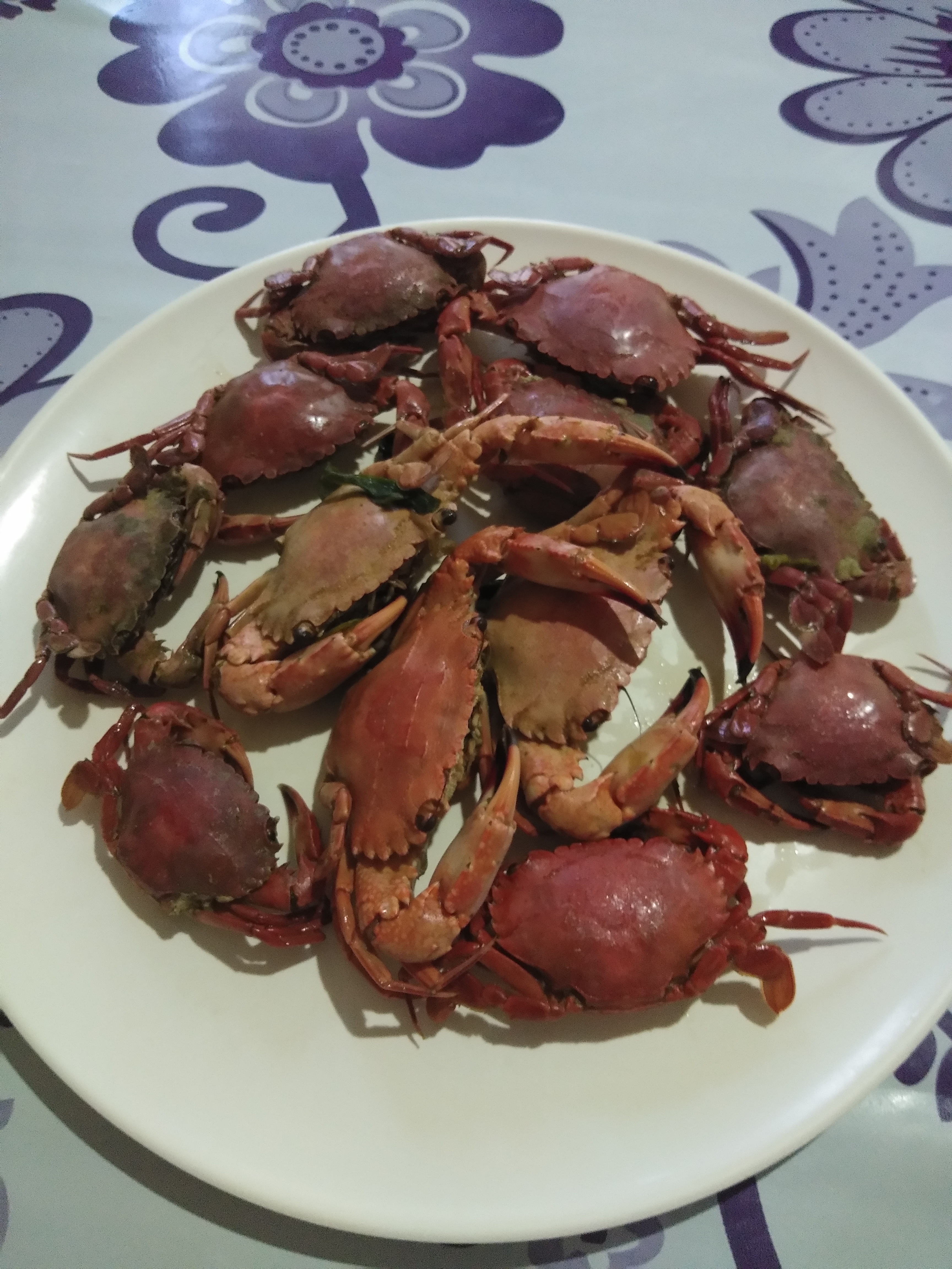 IMG_20210502_073516.jpg