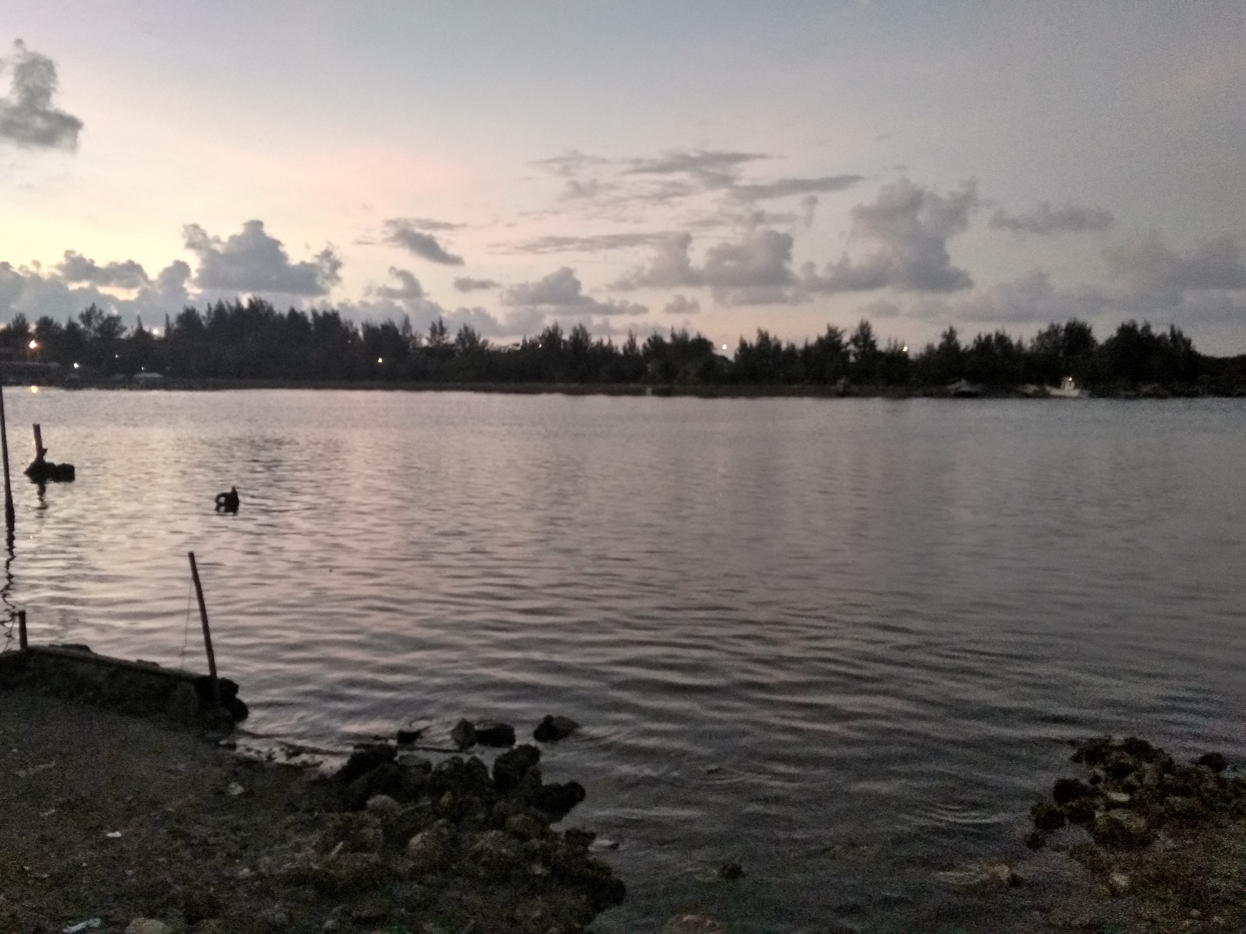 IMG_20190307_190551_HDR.jpg