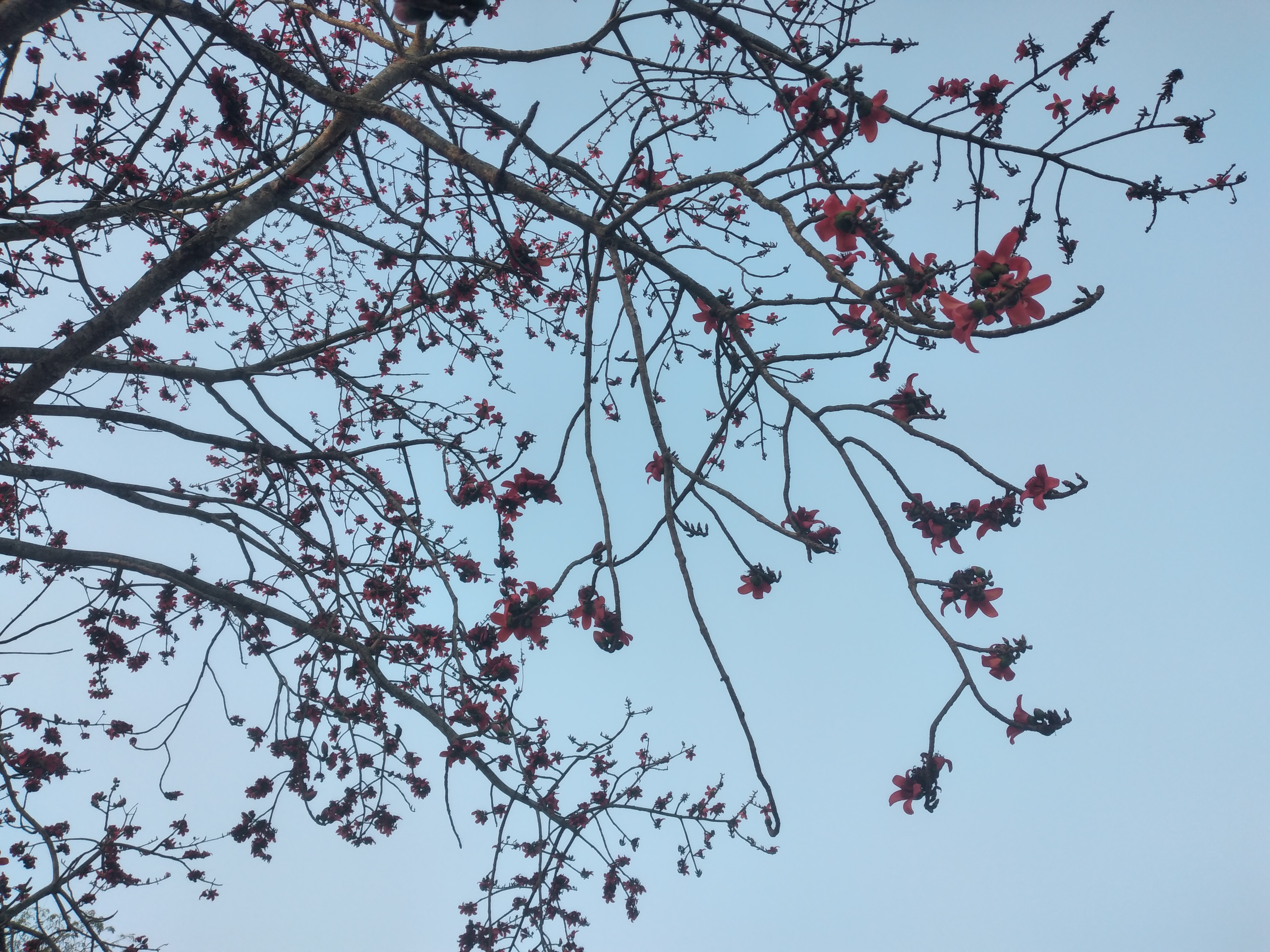 20220301_170004.jpg