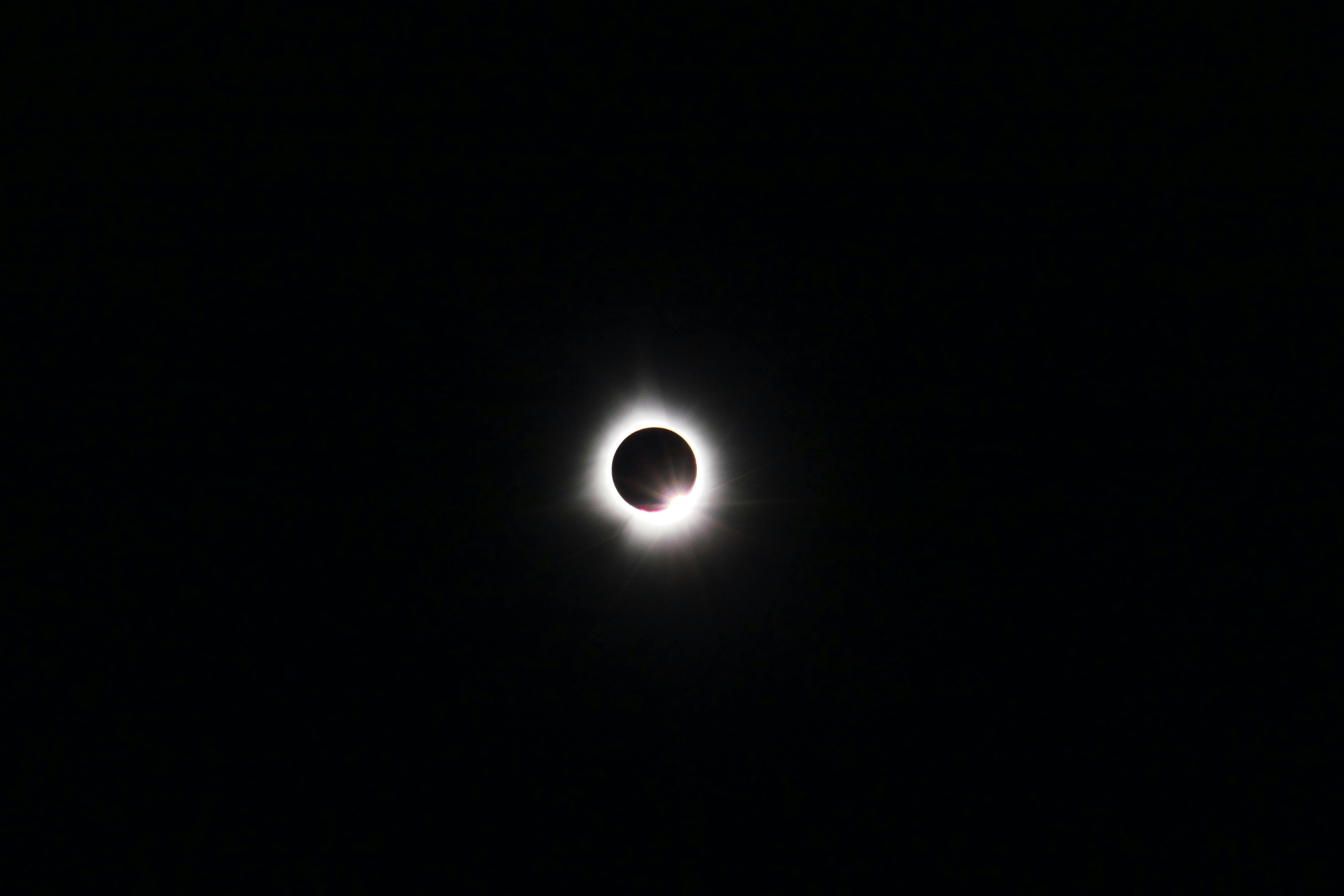 pexels-maxwellfury-21315786.jpg