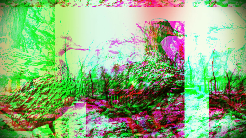 Quackers3 - 2019-03-09T160308.481 (2).png