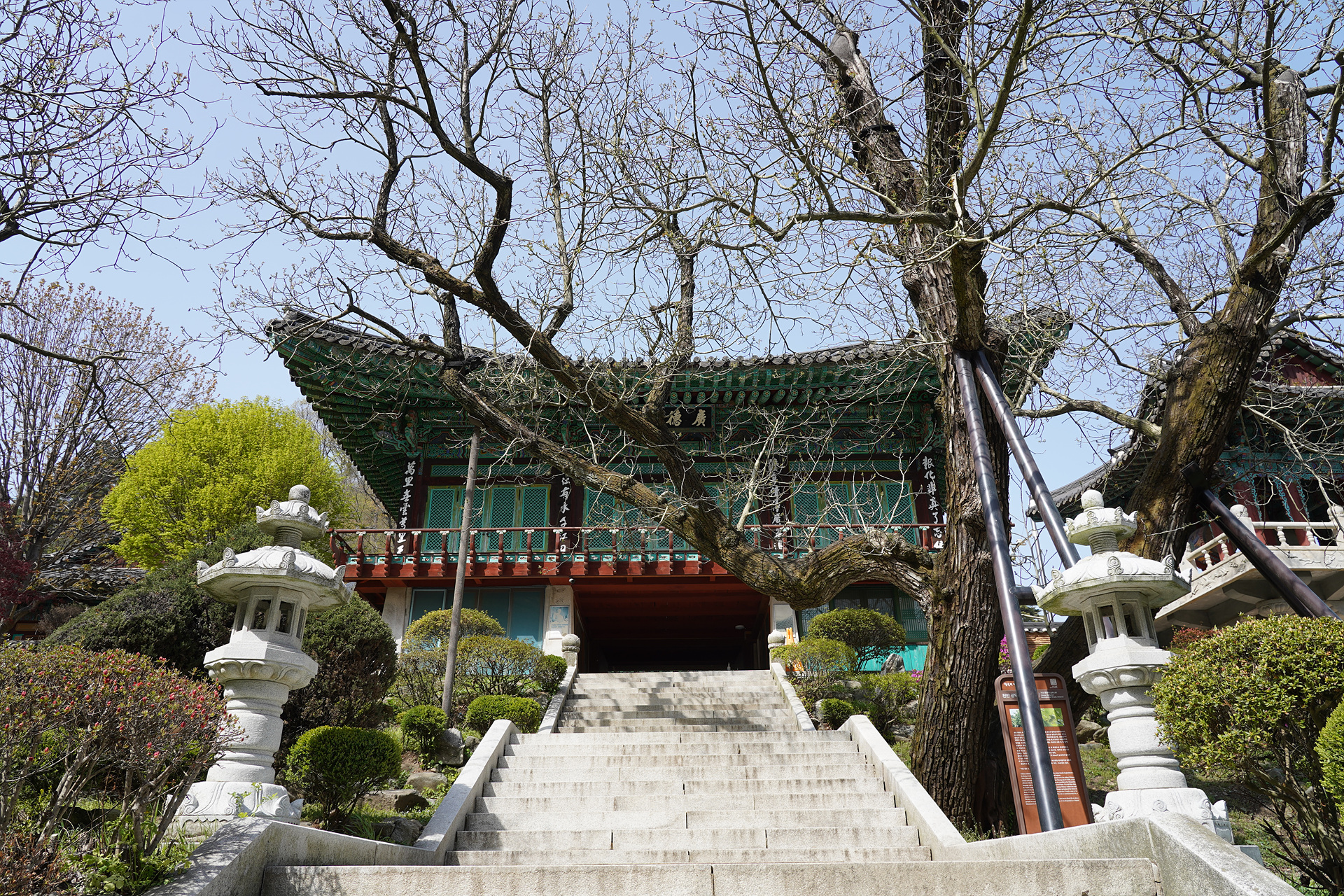 o-DSC08776.jpg