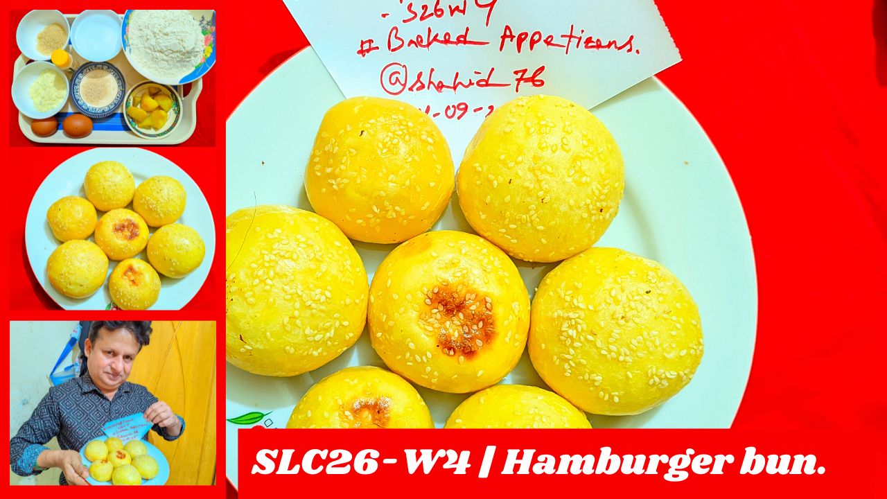SLC26-W4 Hamburger bun. (1).jpg