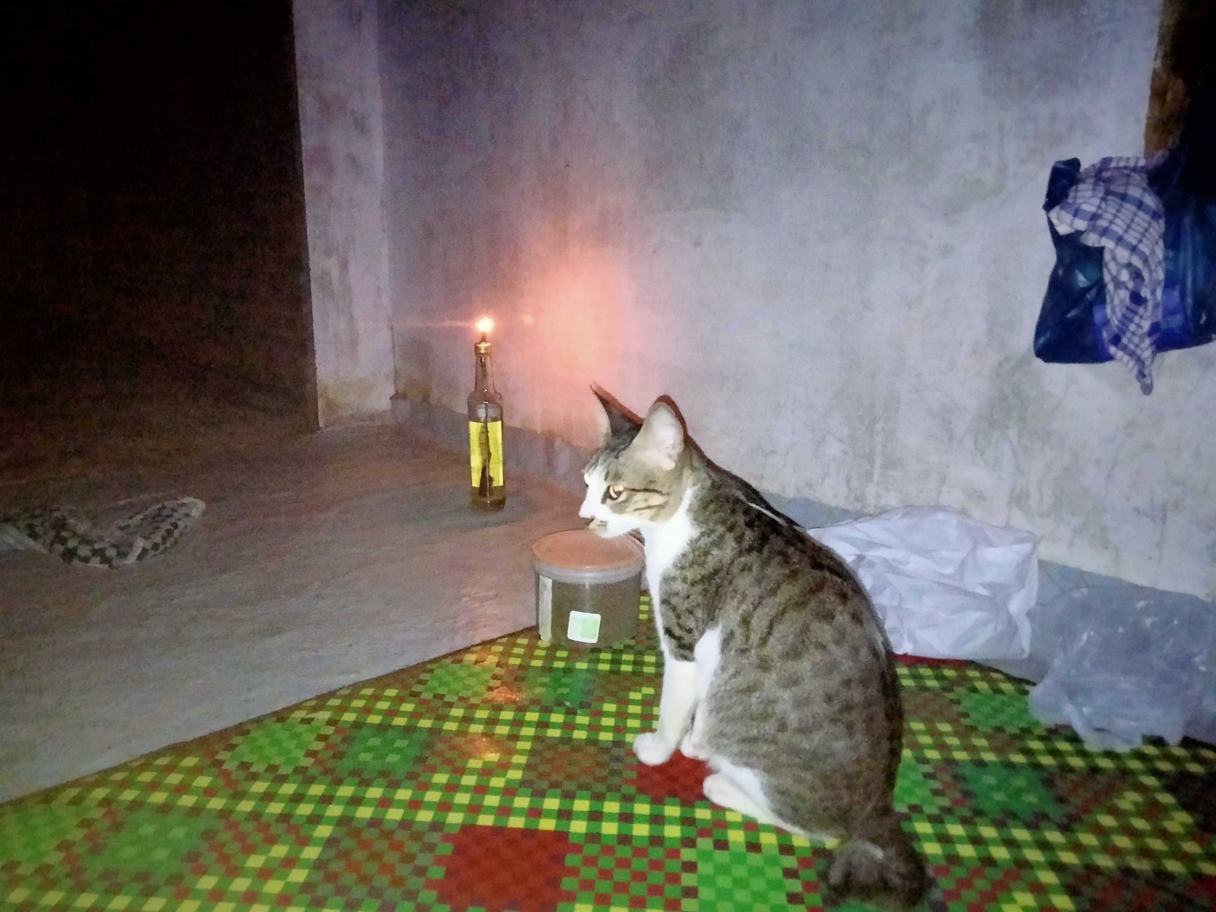 IMG20260525211720.jpg