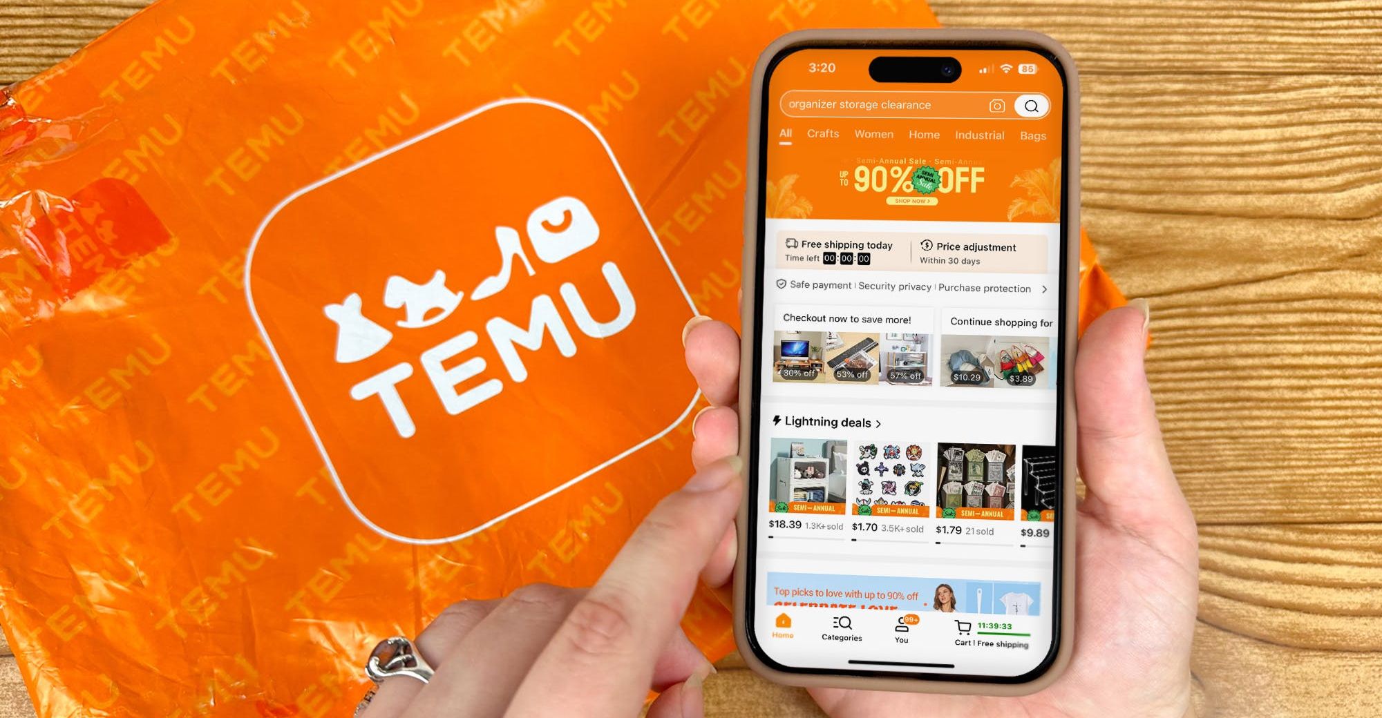 TEMU (1).jpg