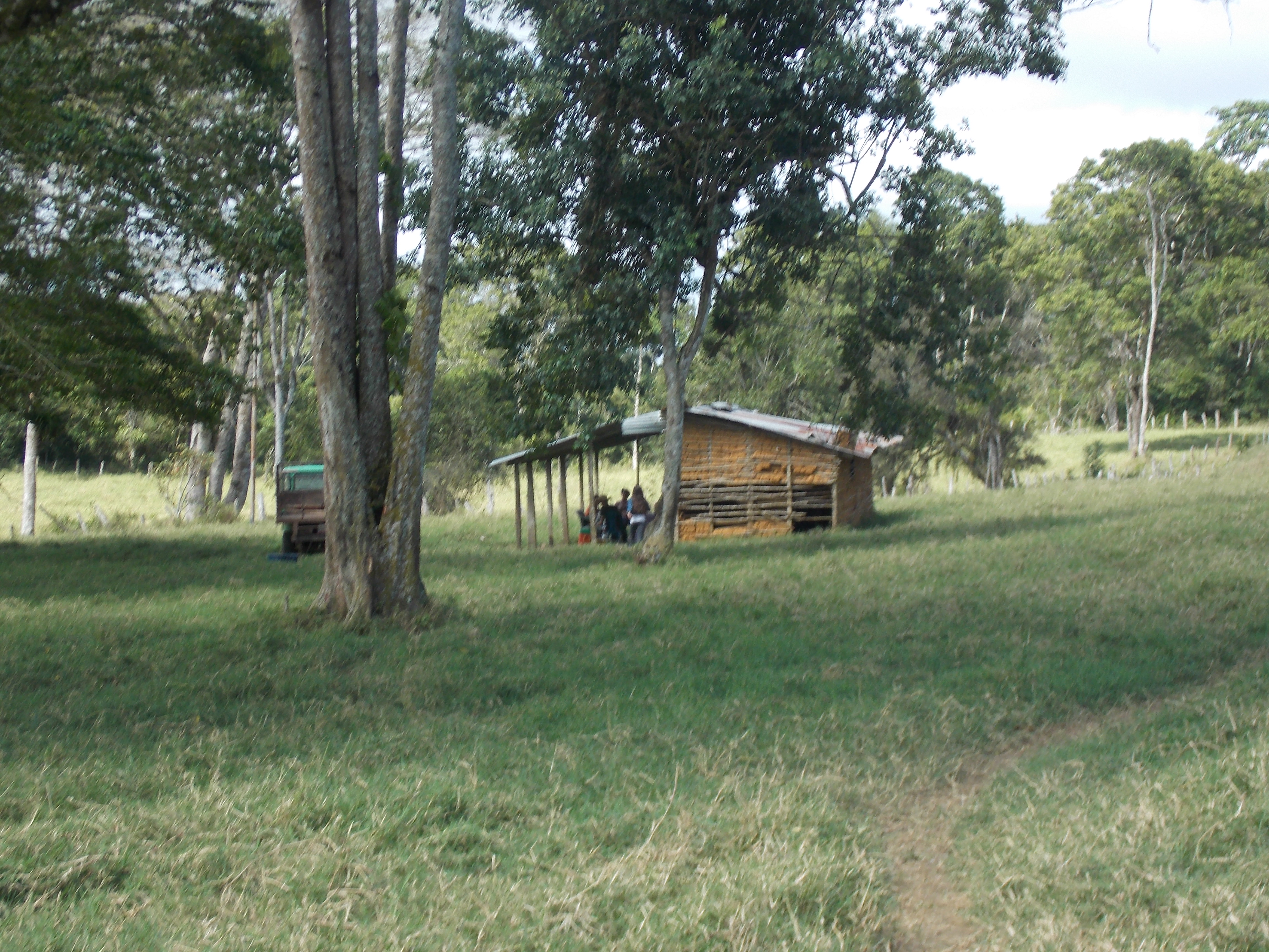 DSCN1461.JPG
