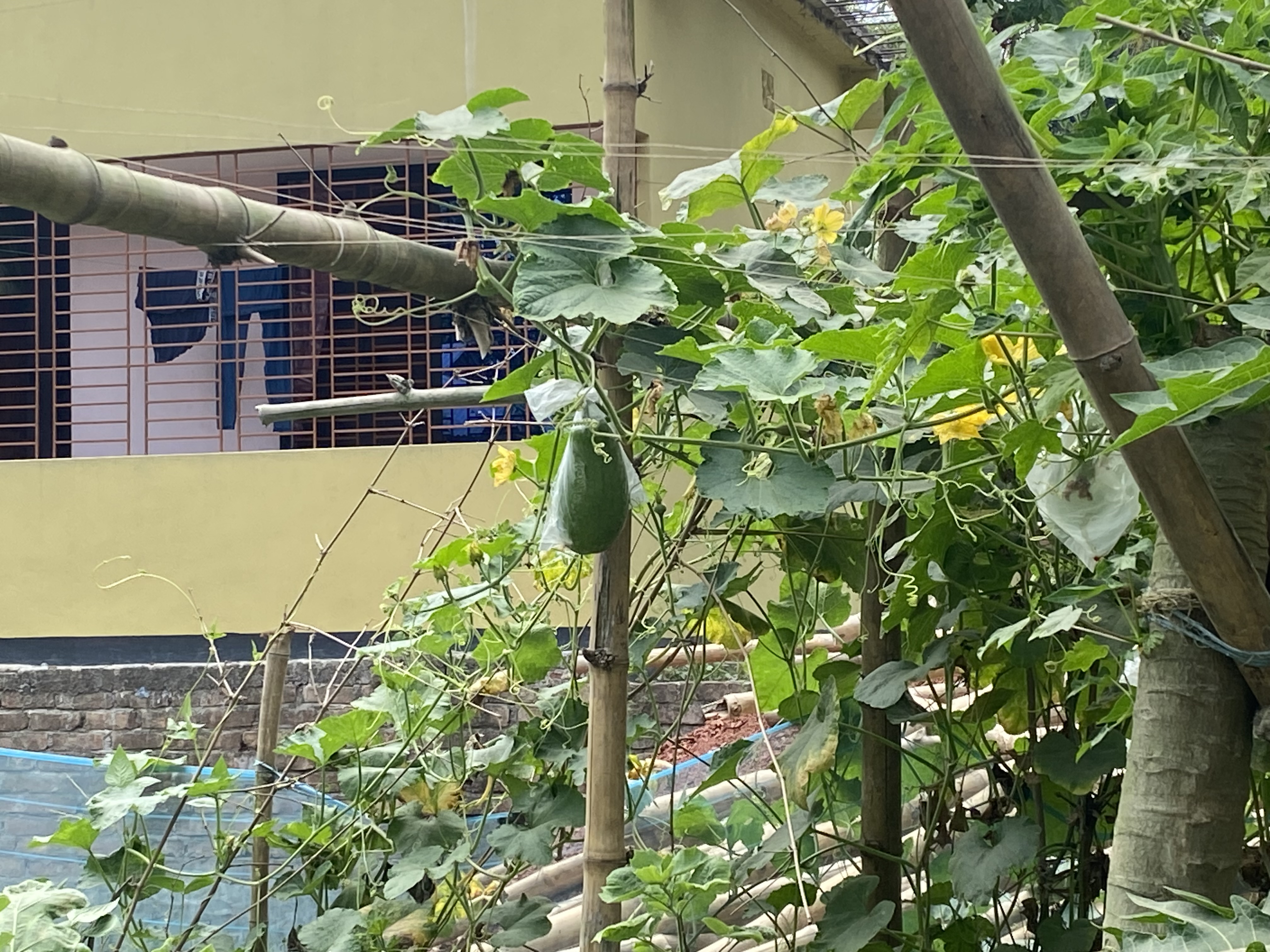 IMG_3007.jpeg