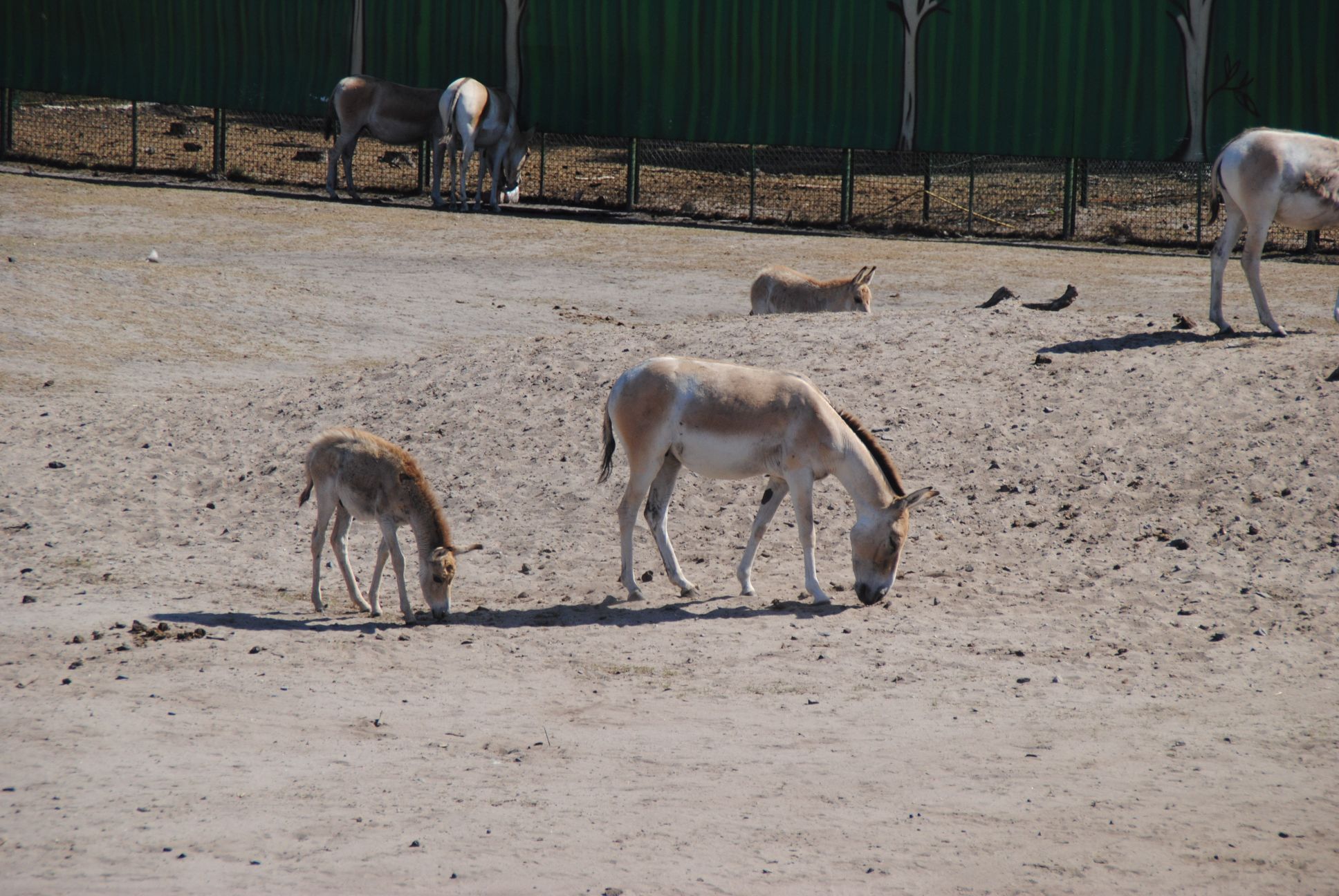 image046.jpg