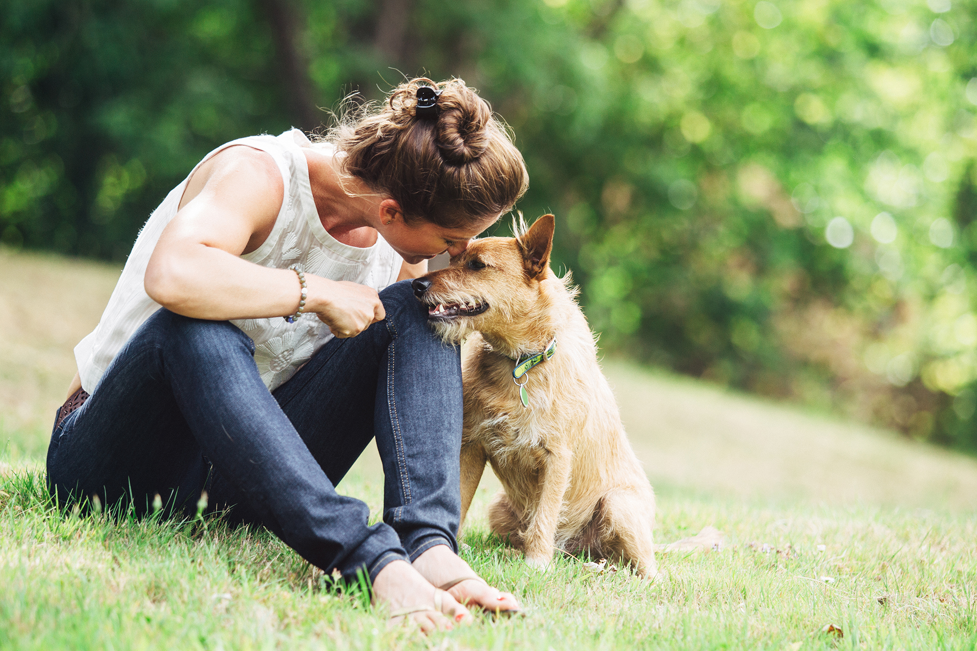 The dog is playing. Woman Dog.