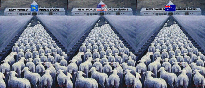 sheeple (1).jpg