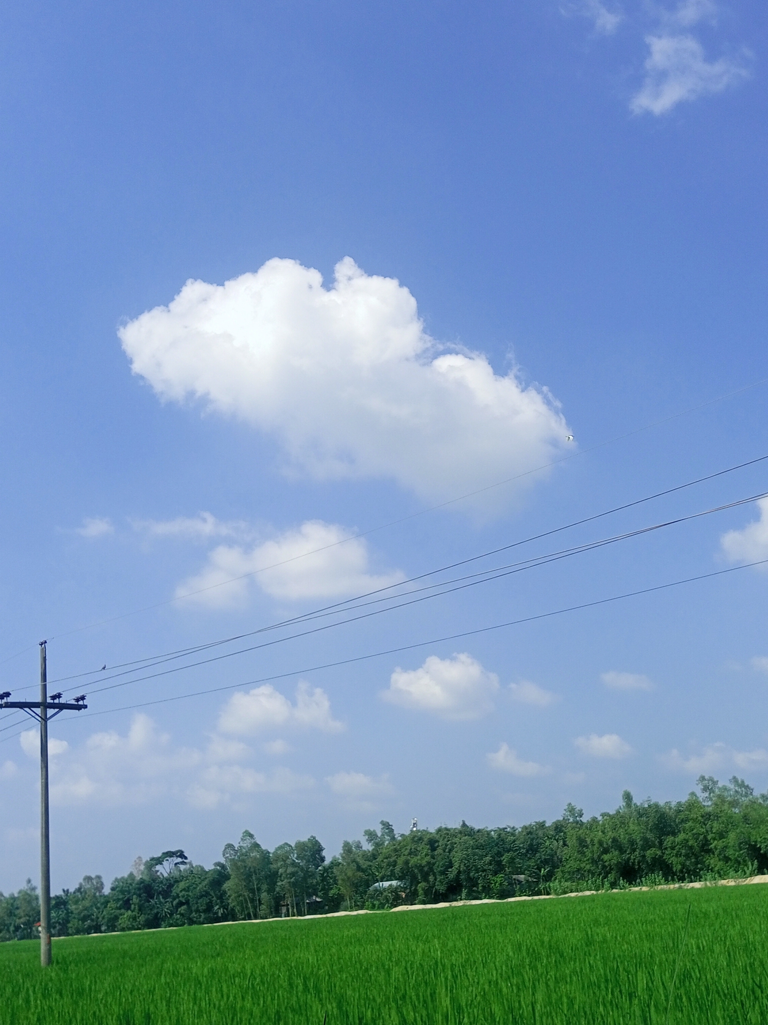 IMG_20221001_133954_190.jpg