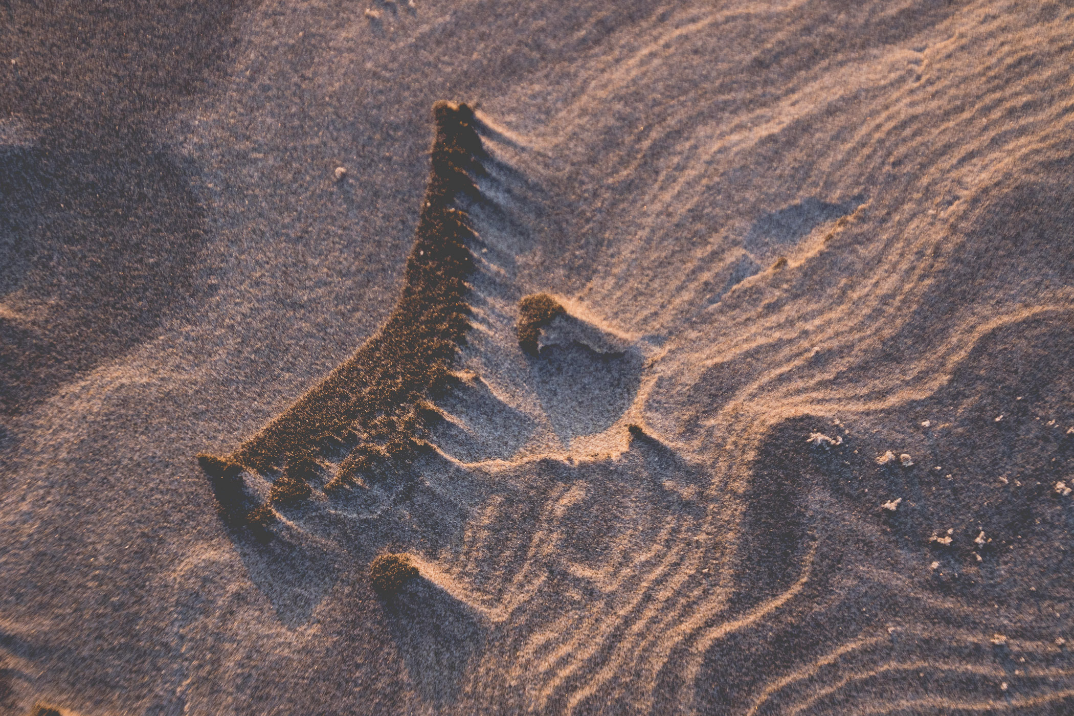 2020_12_31_420813.jpg
