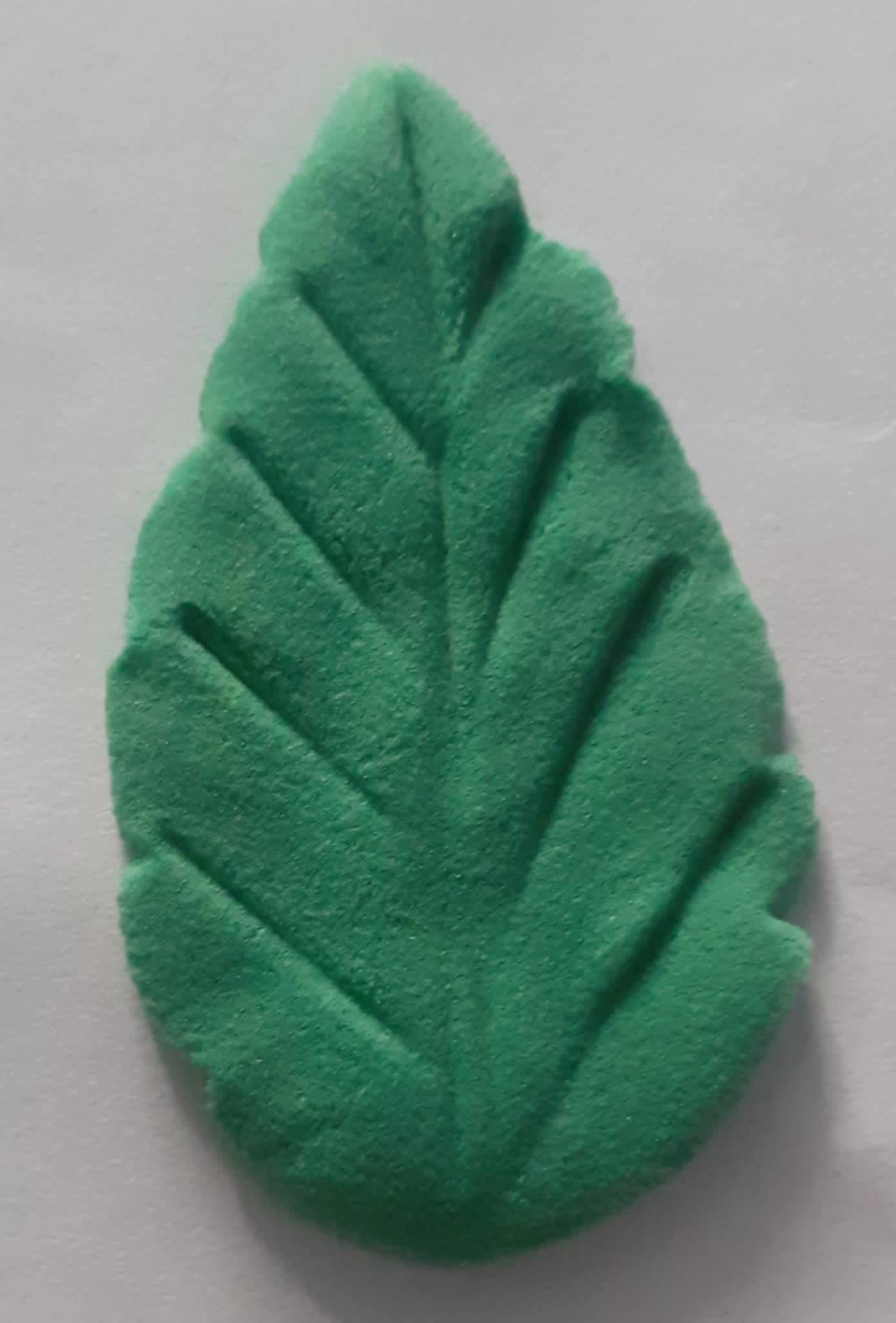 c14.jpg