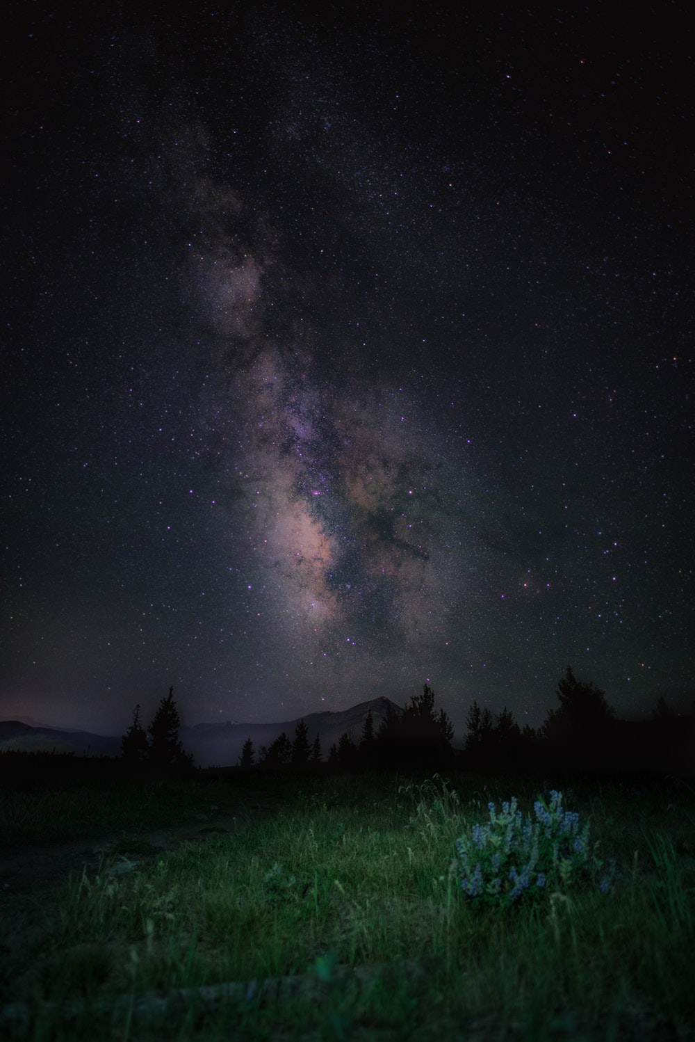 night_sky (1).jpg