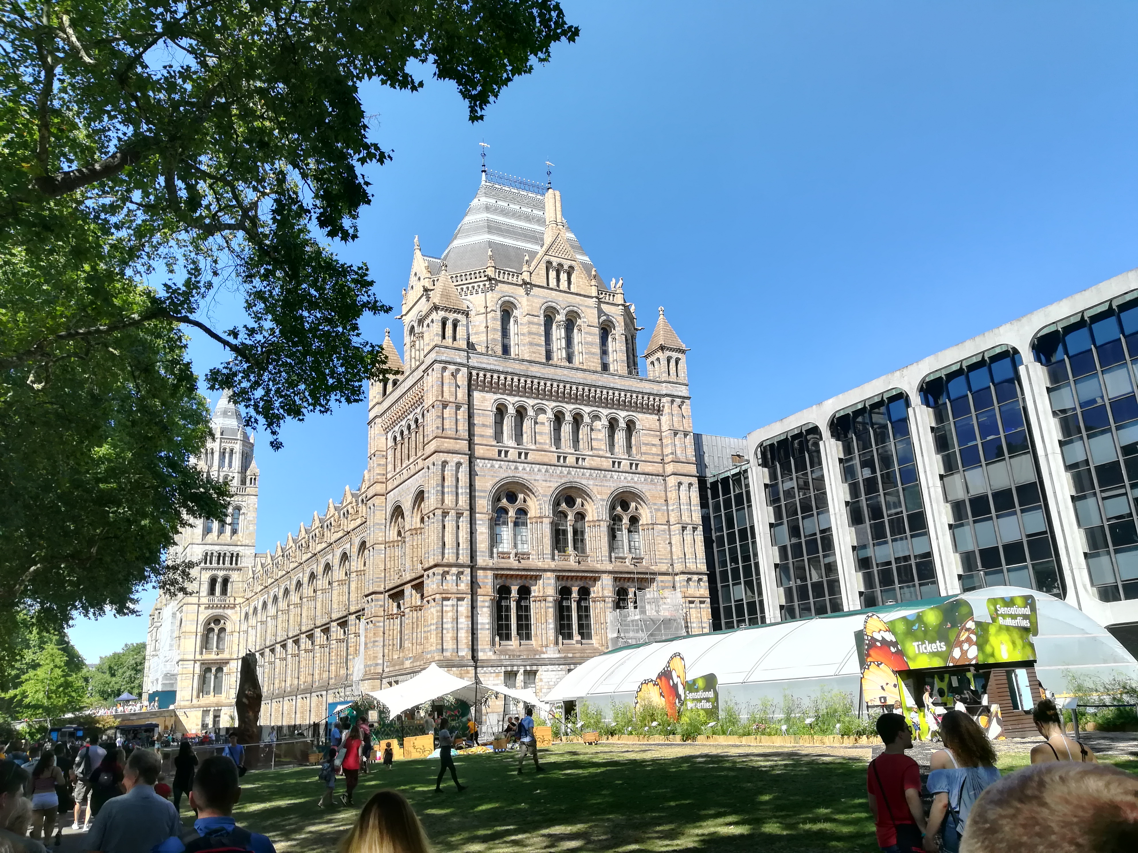 IMG_20180803_105934.jpg