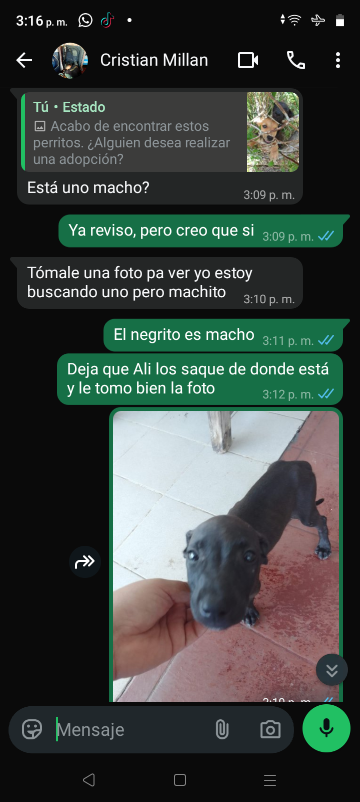 Screenshot_20260723-151633.png
