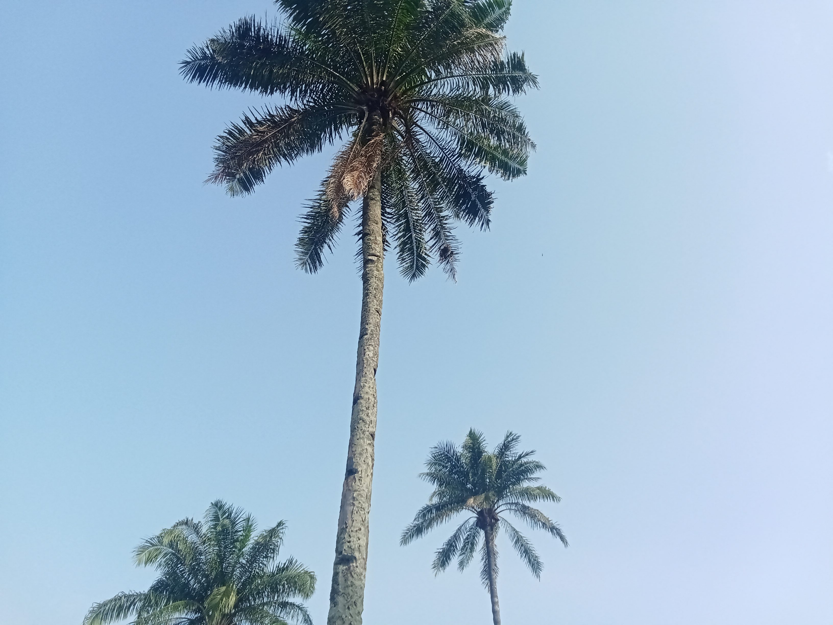 1000657323.jpg