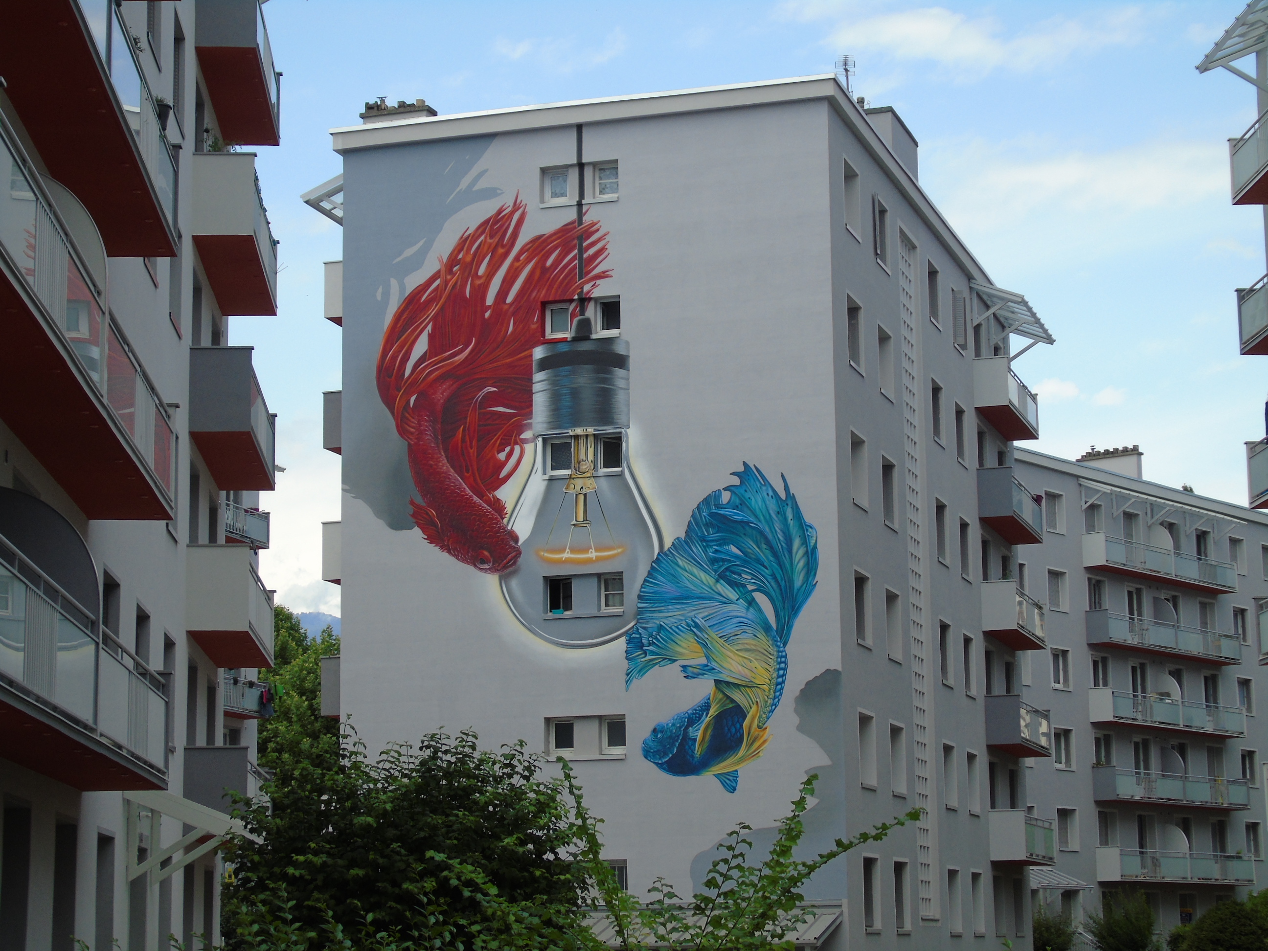 etien2021legallieni (7).JPG