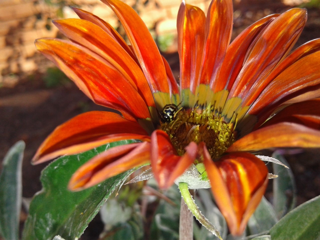 thumbnail_20180716_145233.jpg