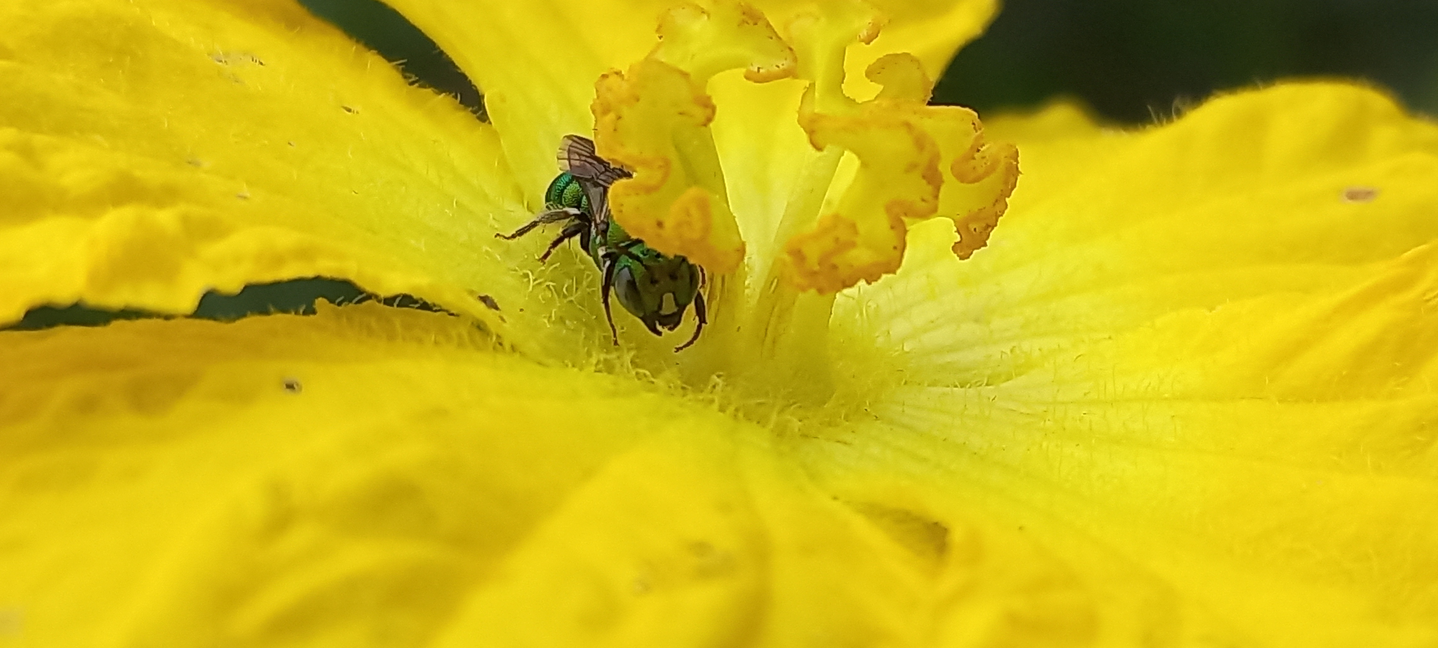 20220828_101616.jpg