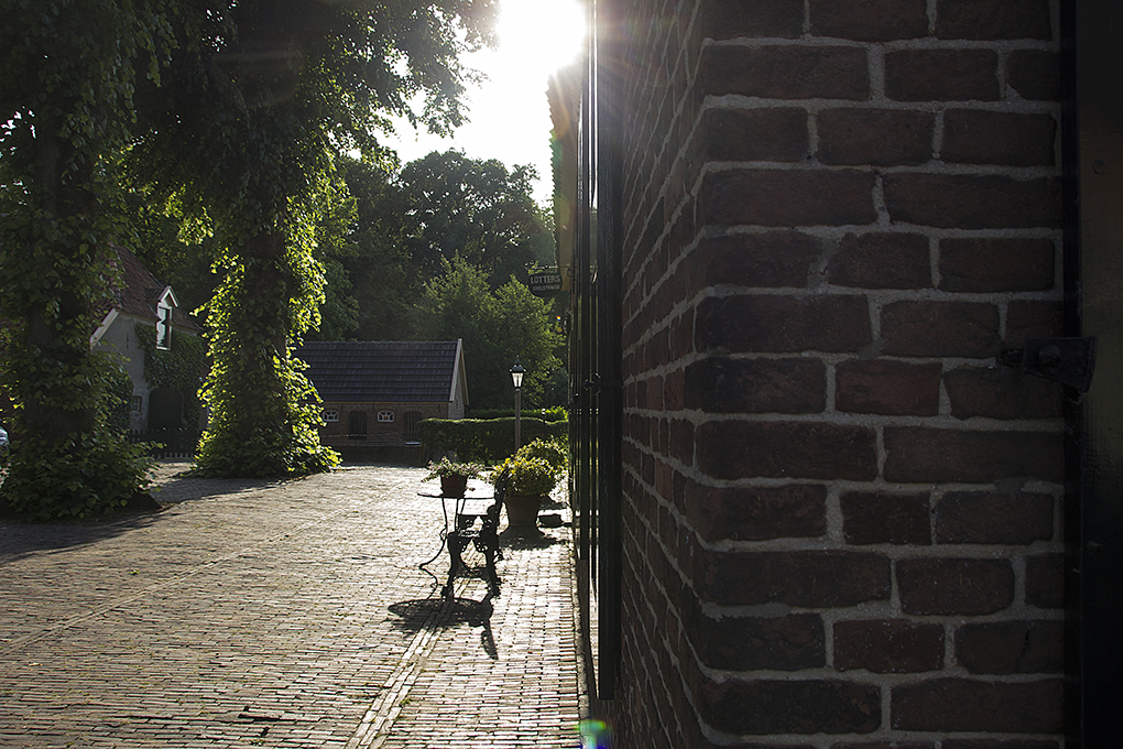IMG_6983.jpg