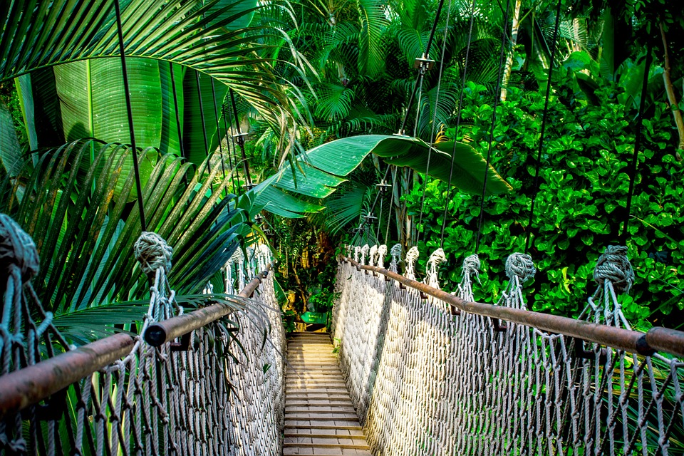 suspension-bridge-959853_960_720.jpg