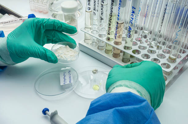 Hematopoietic Stem Cells Transplantation Market.jpg
